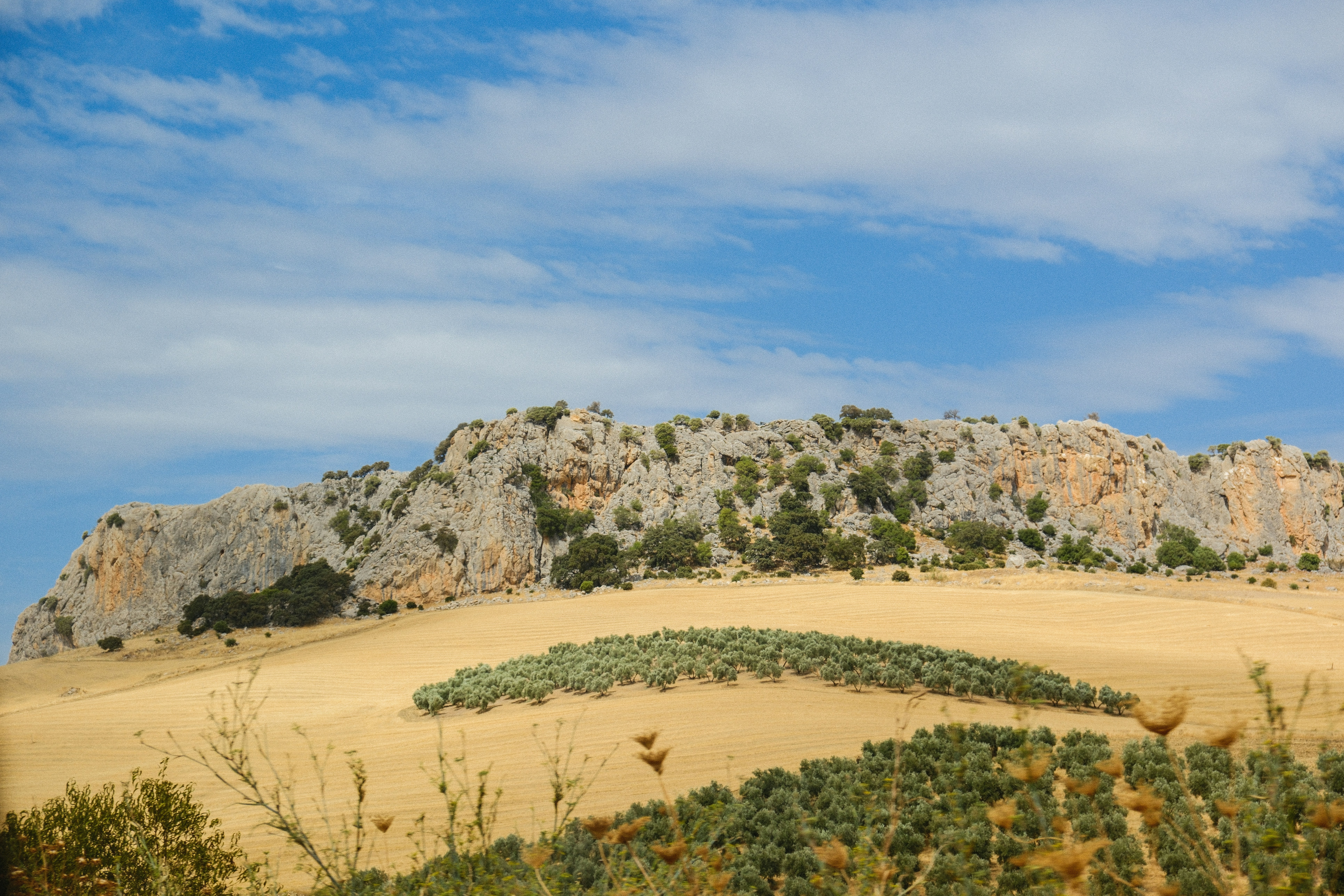 Photo by alexispresa