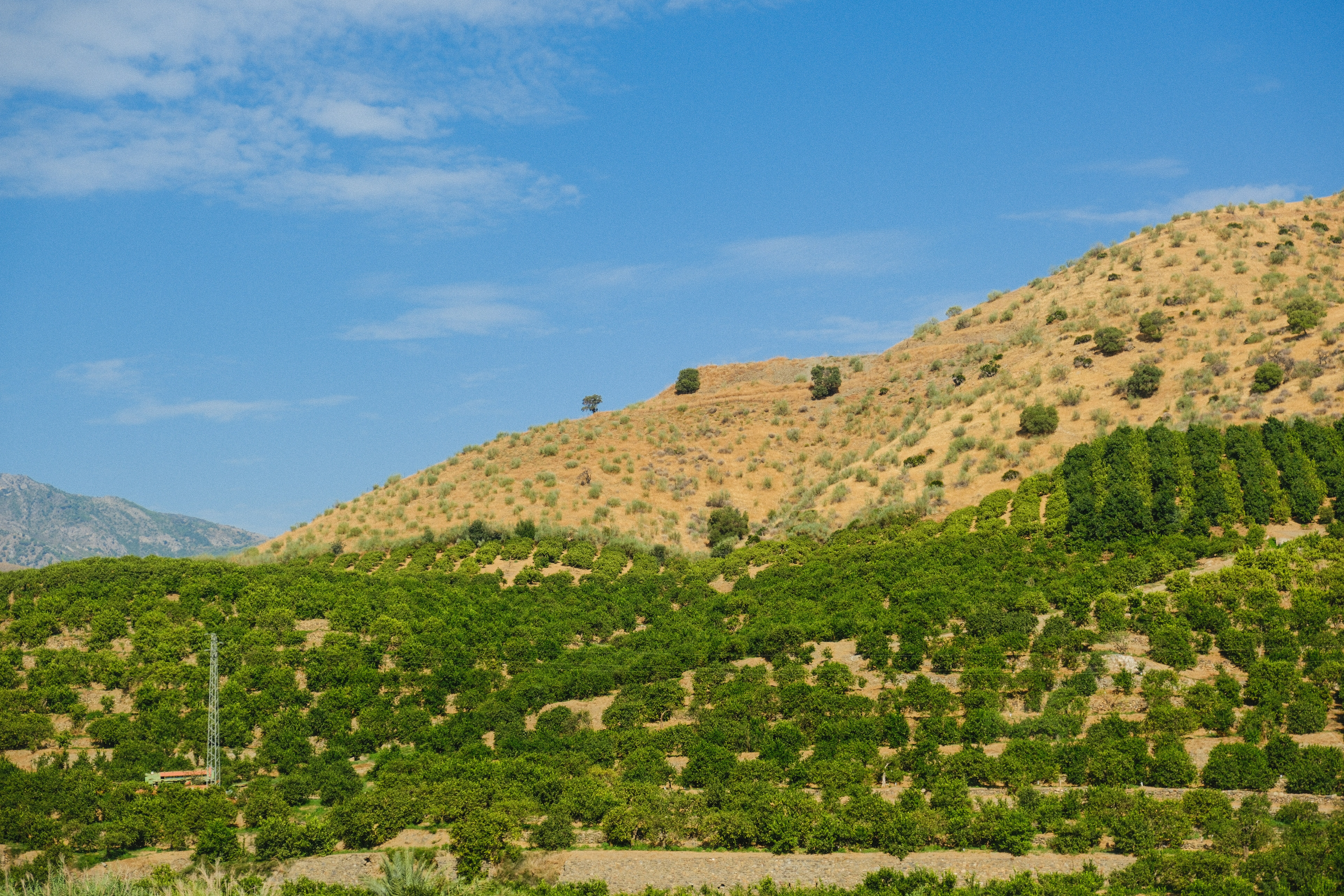 Photo by alexispresa