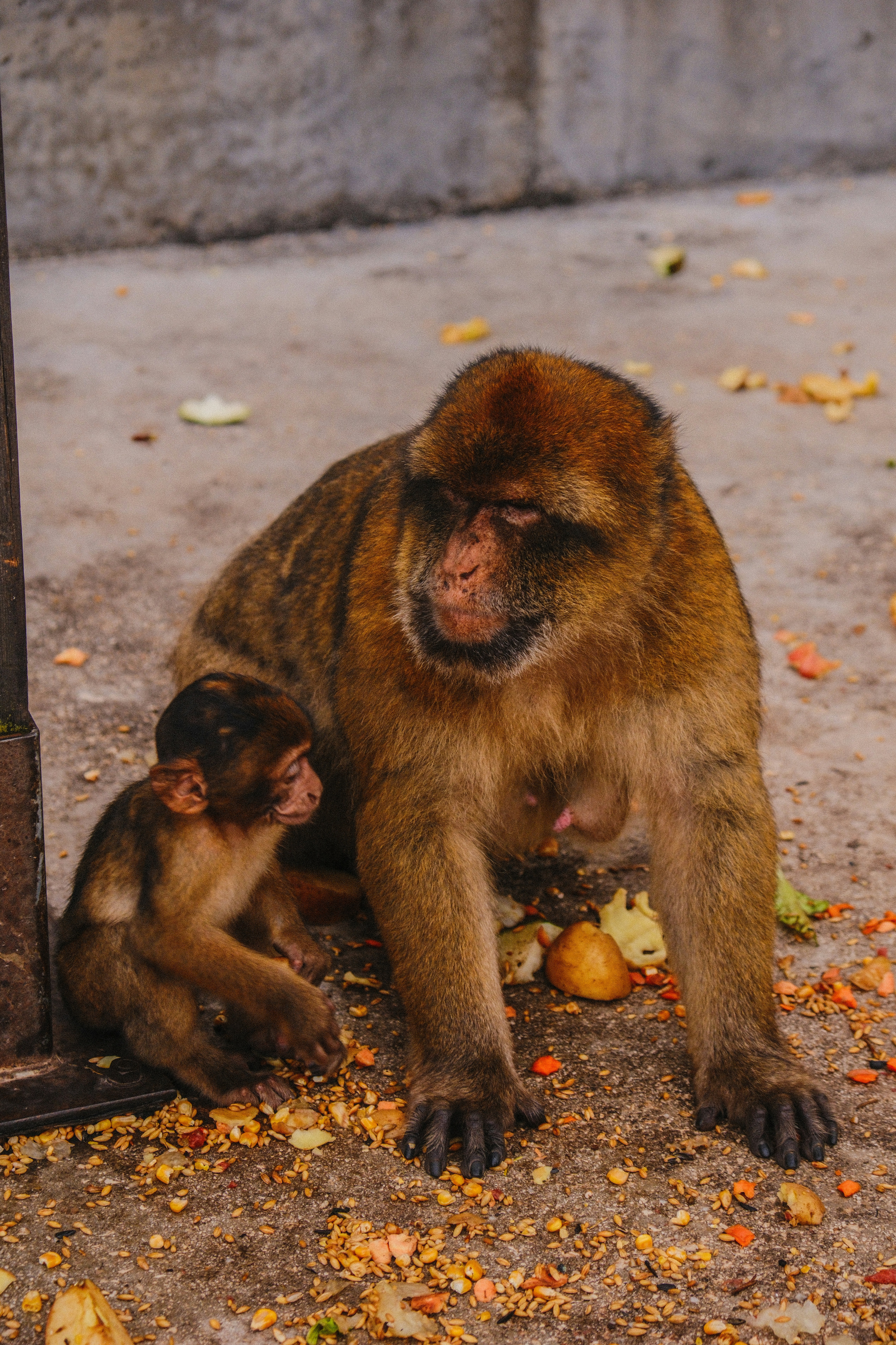 Photo by alexispresa