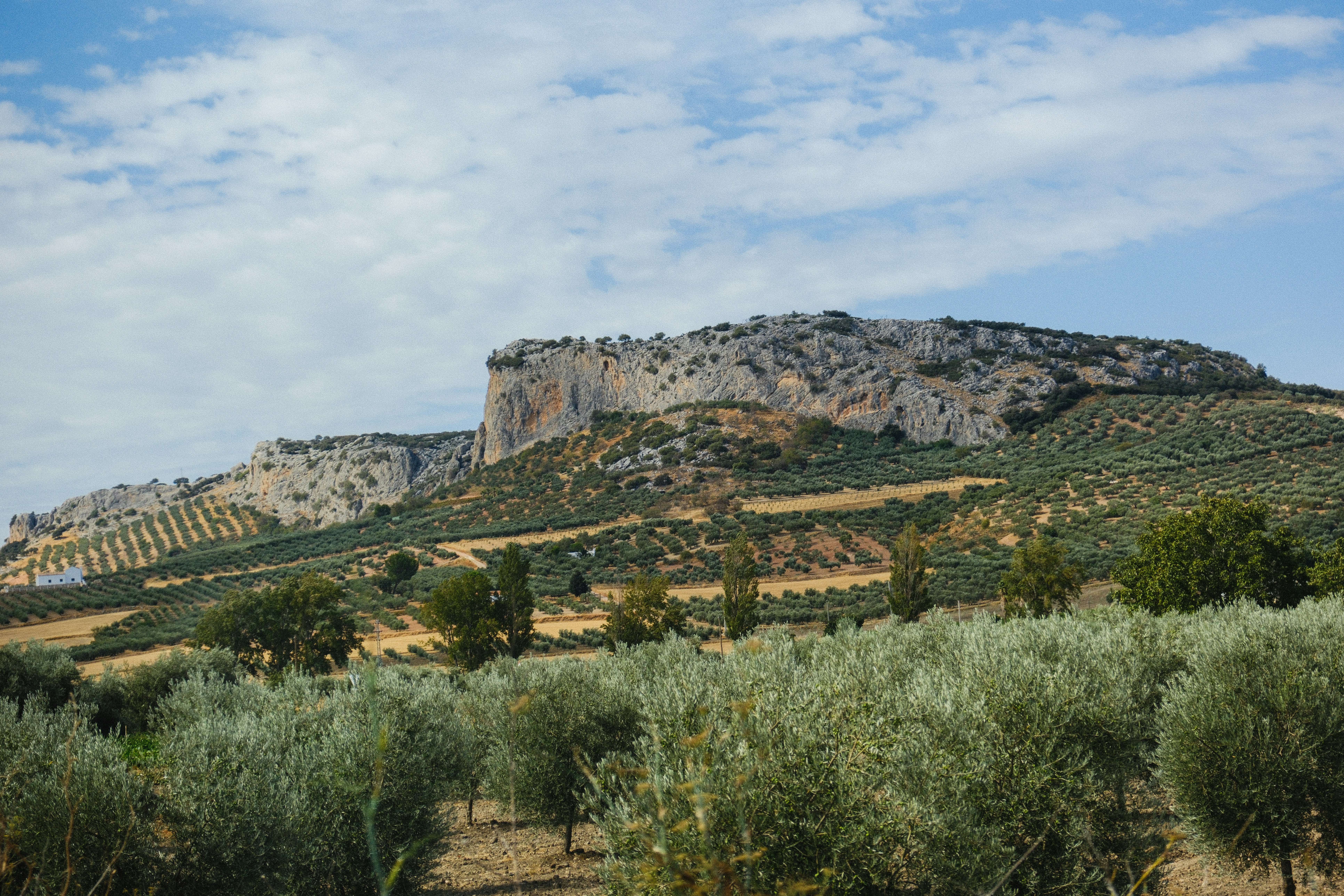 Photo by alexispresa