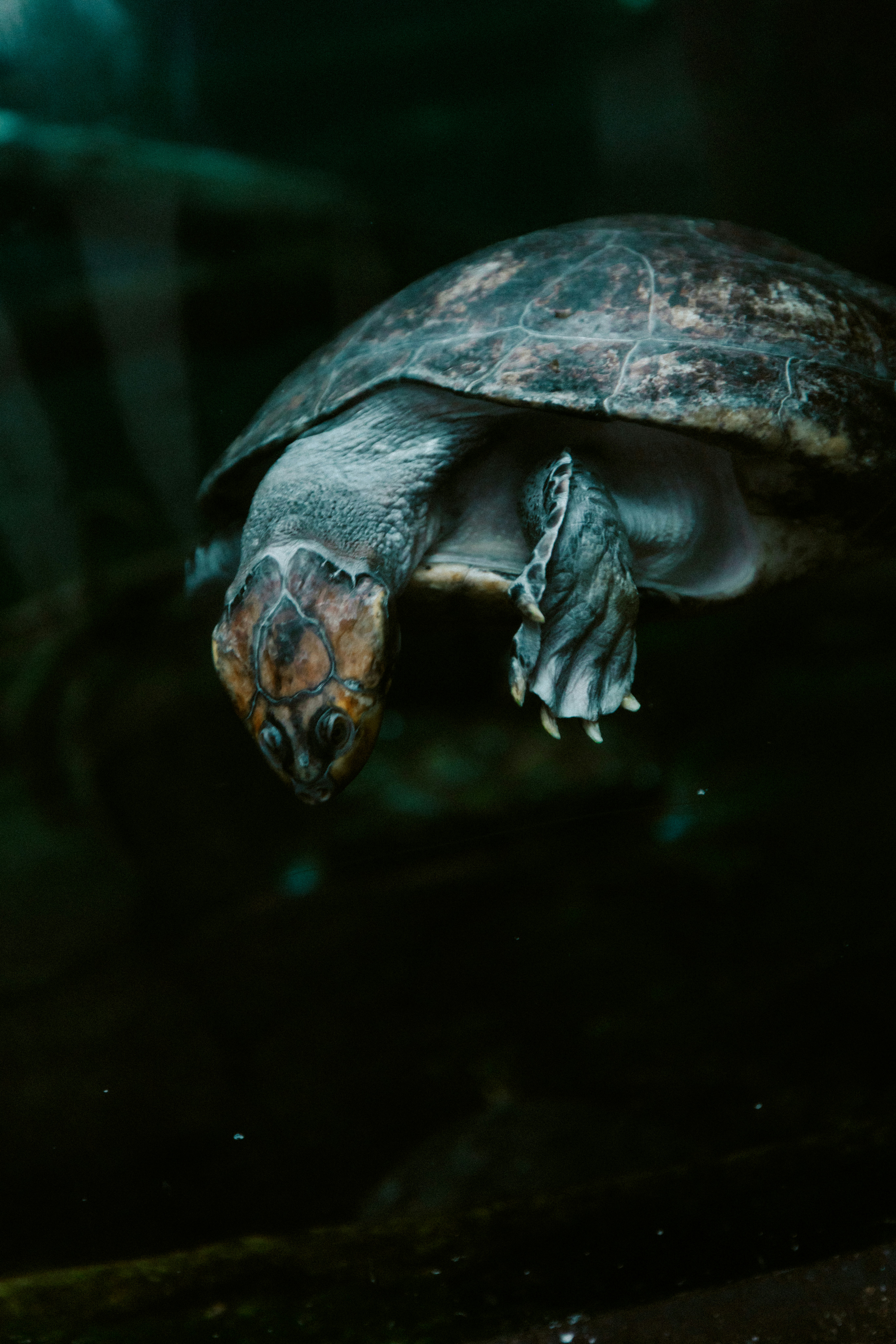 Photo by brookebalentine