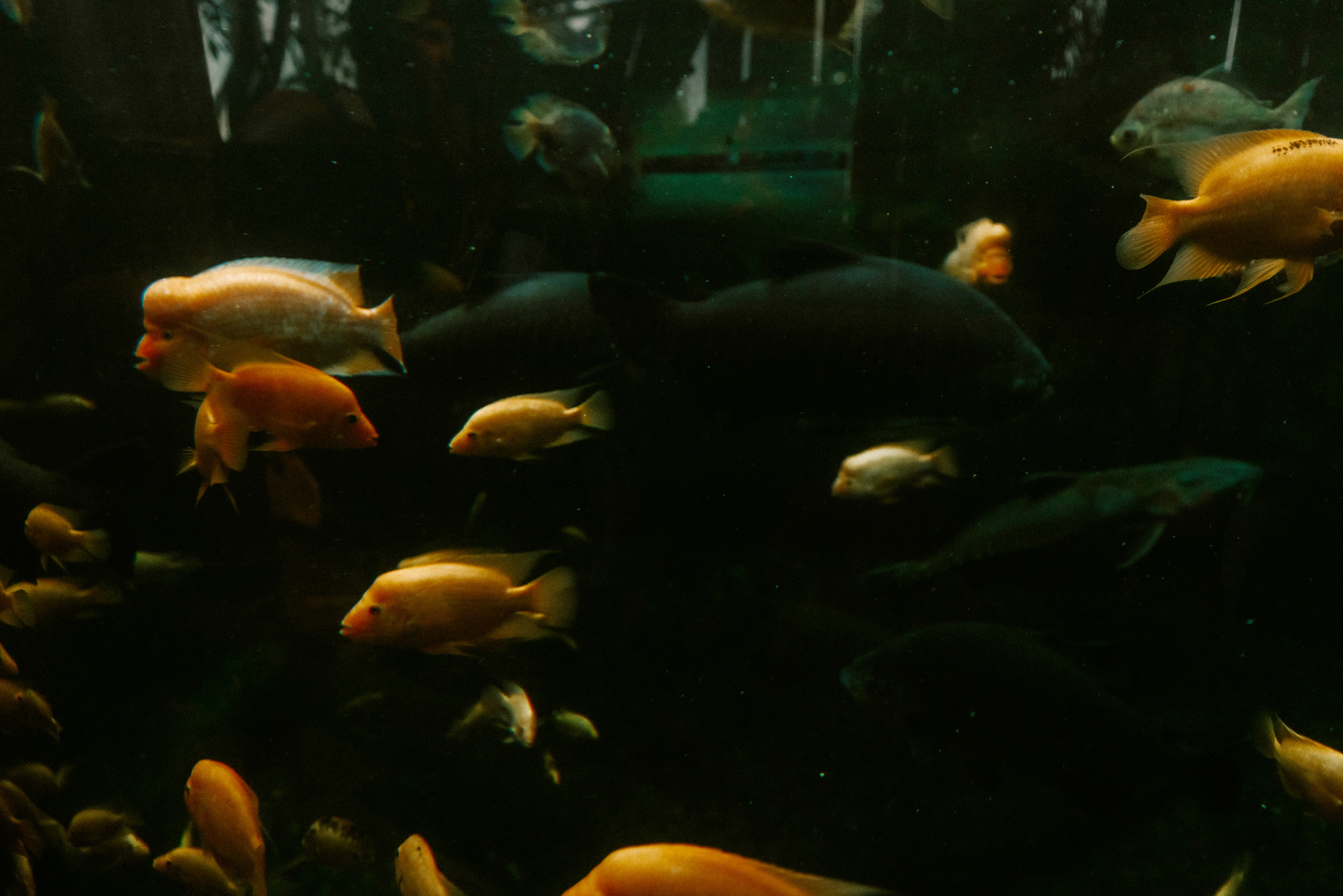 Photo by brookebalentine