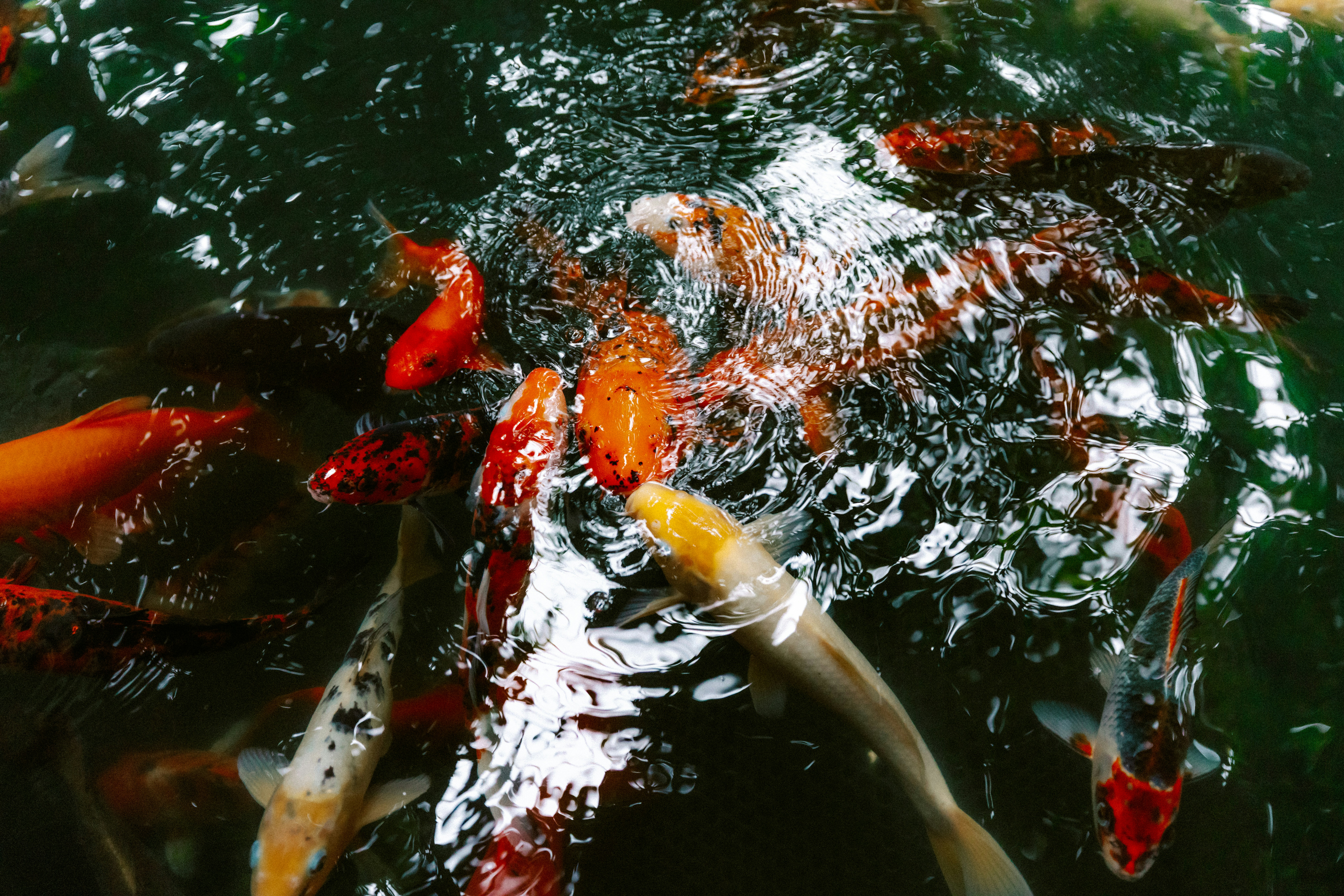 Photo by brookebalentine