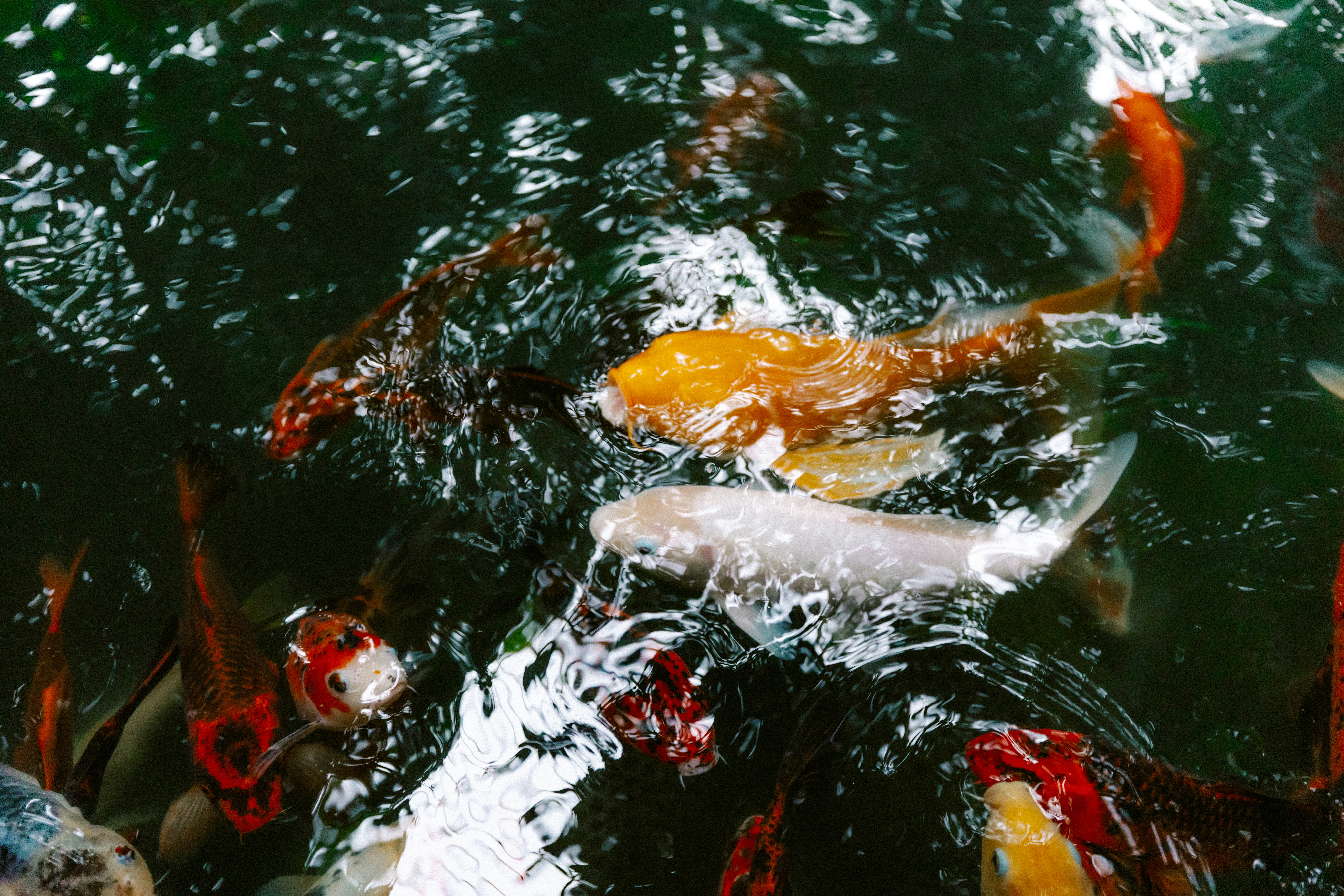 Photo by brookebalentine