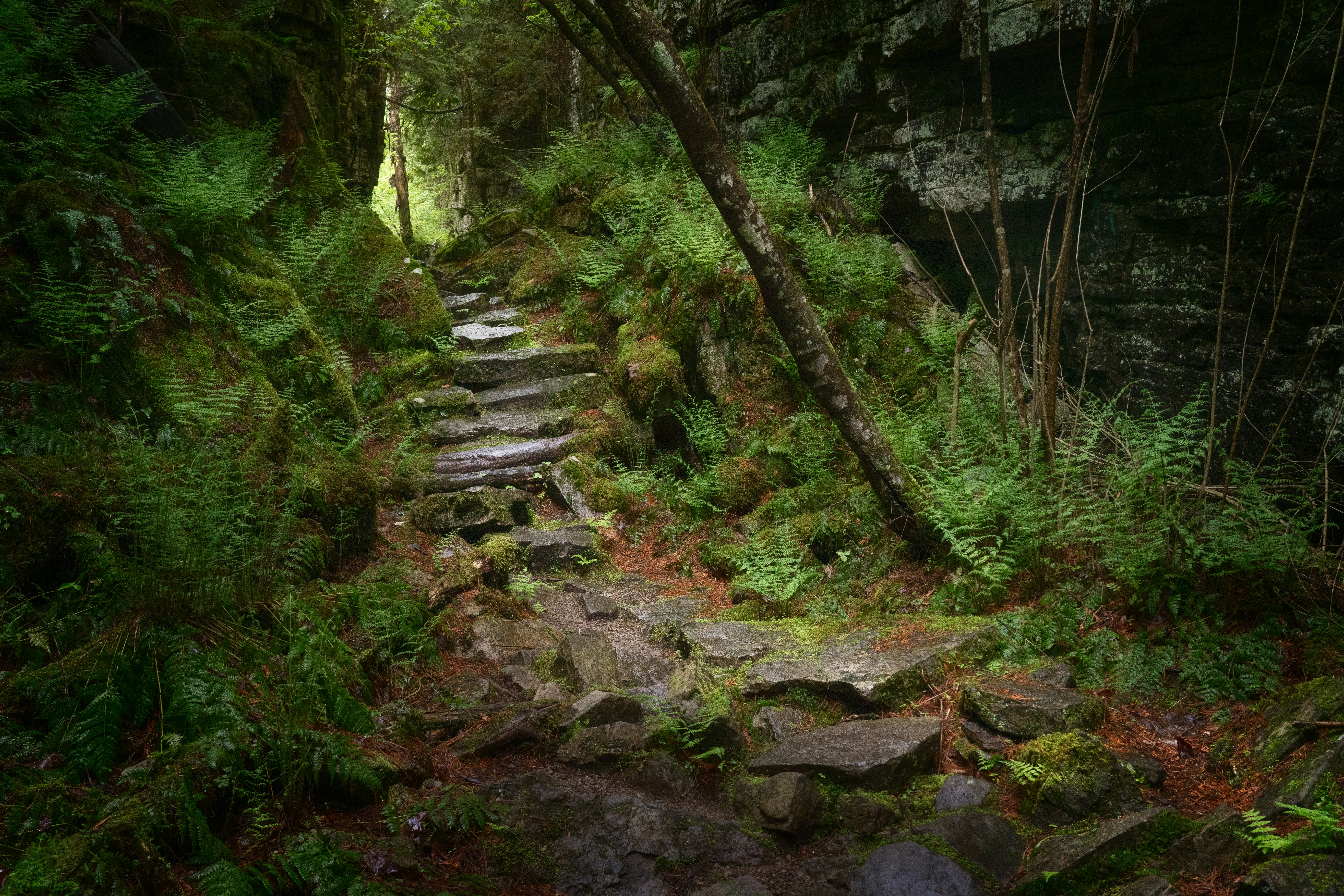 Photo by intricateexplorer