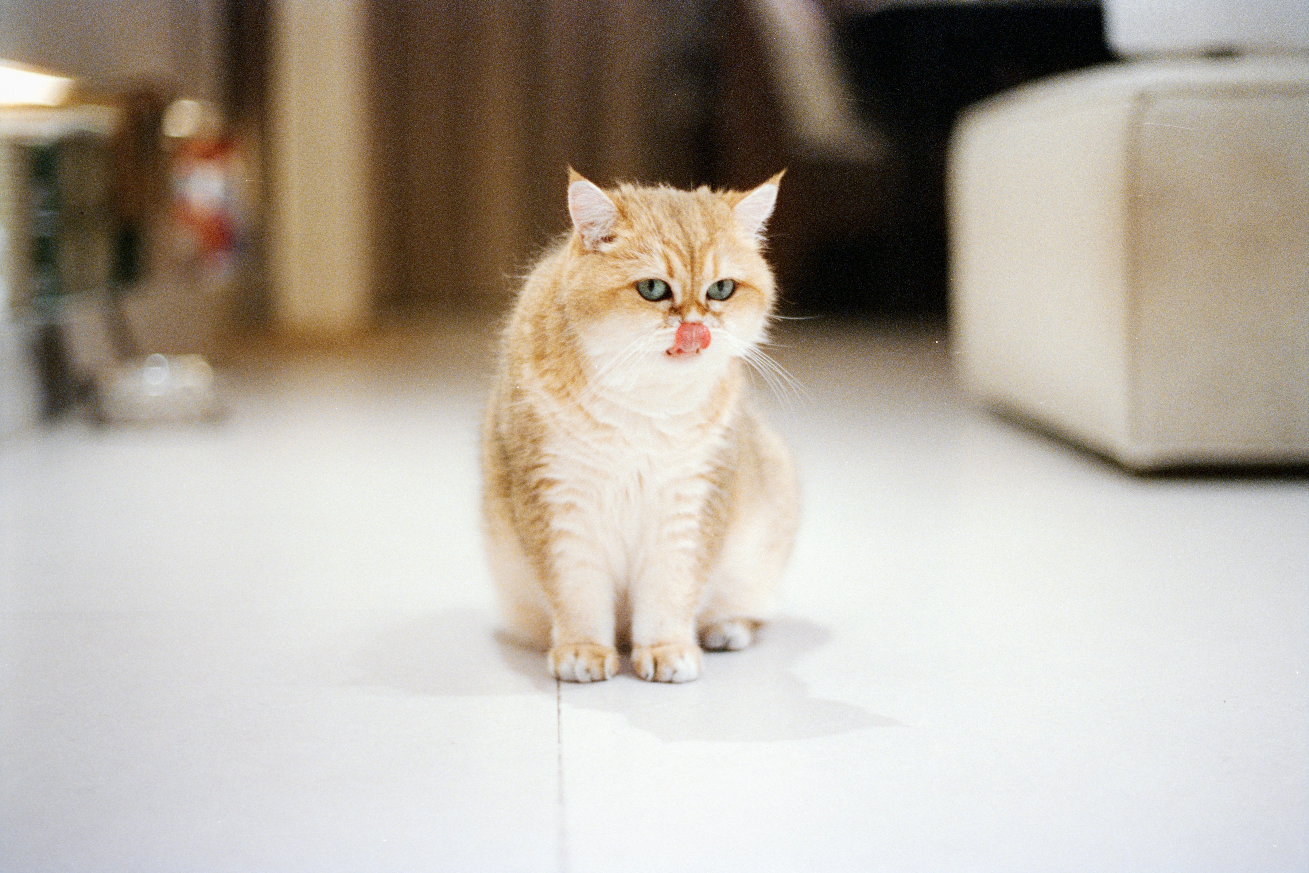 Photo by zhenyao_photo