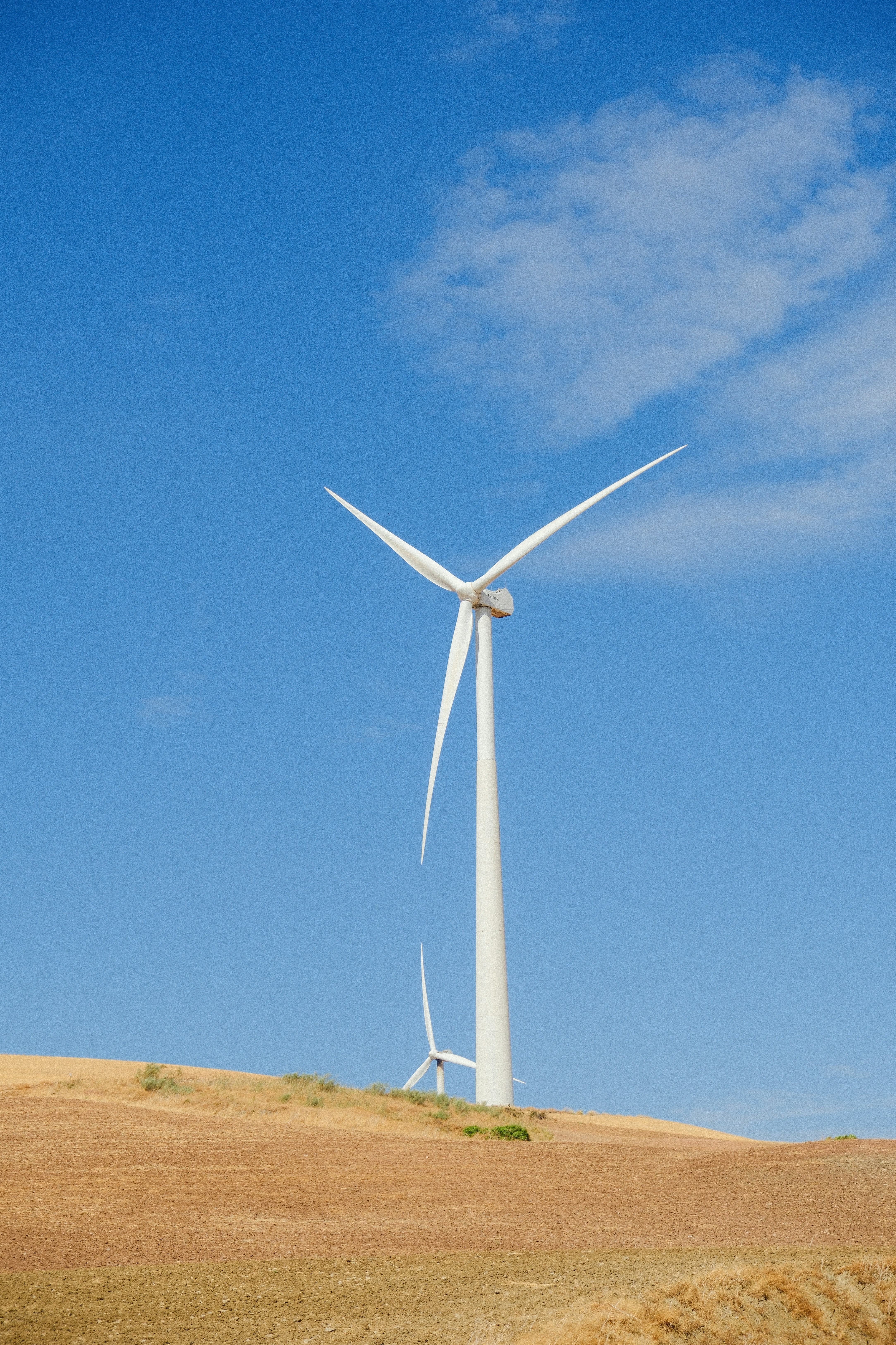 Photo by alexispresa