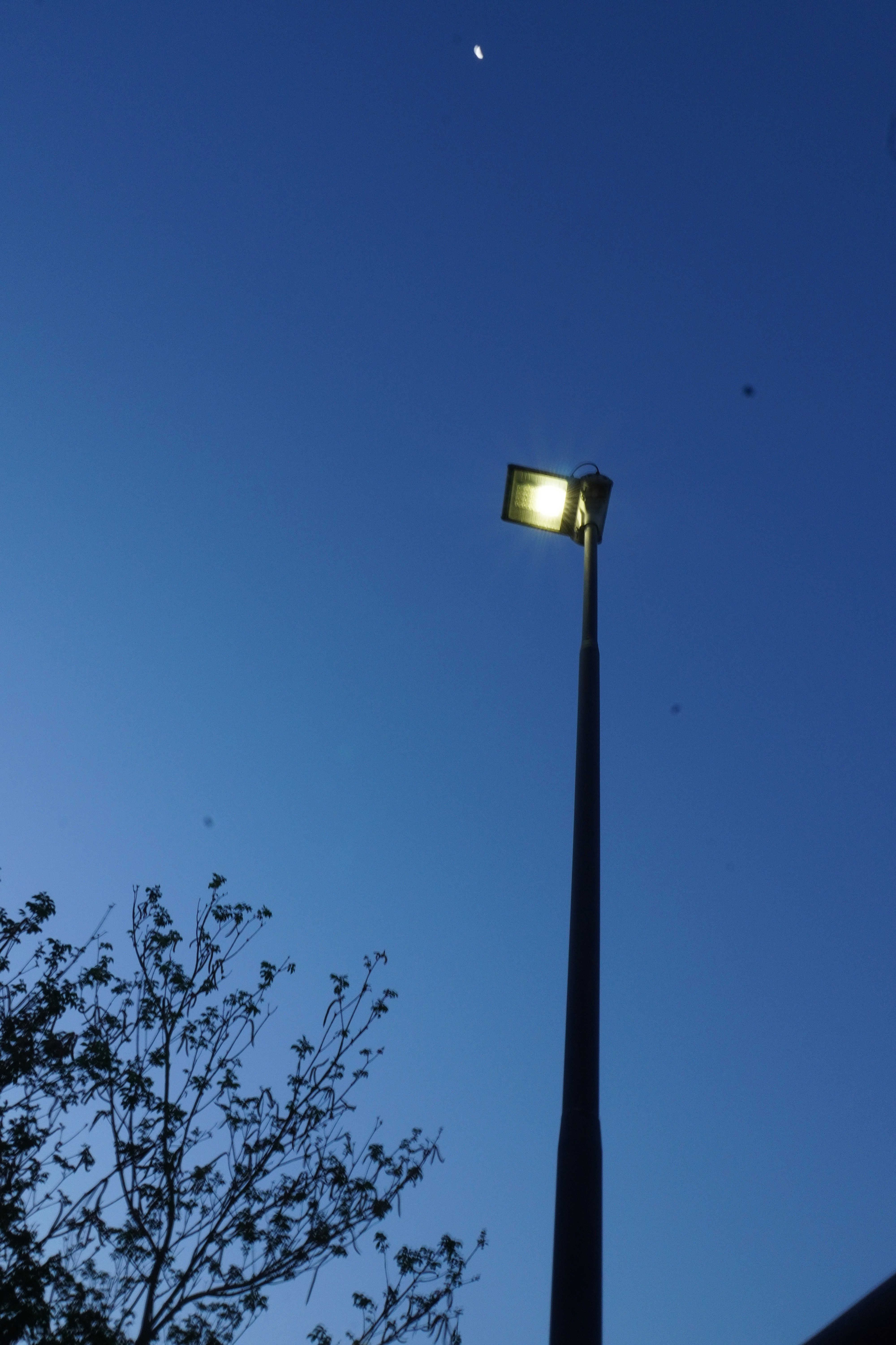 Lamp post