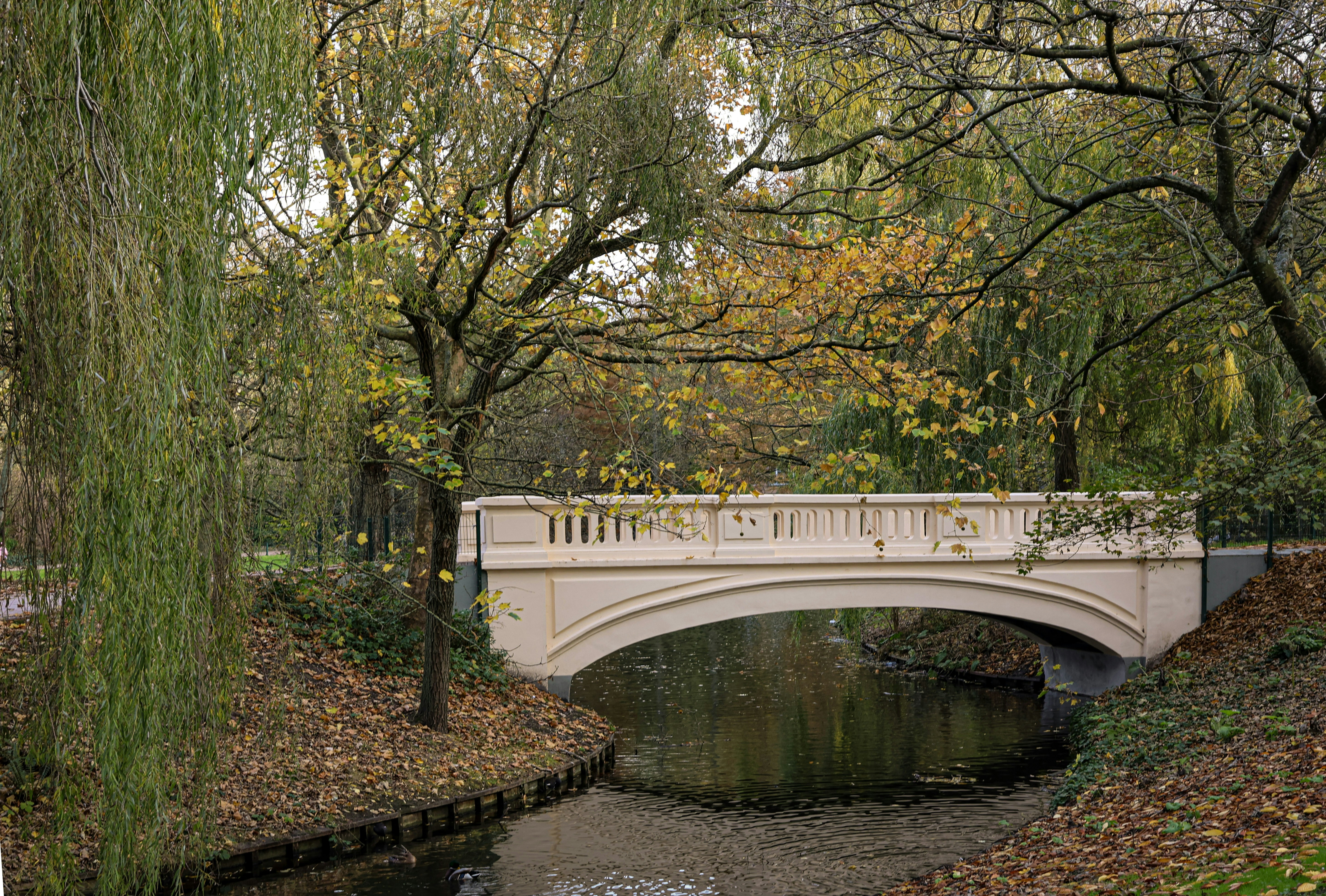 Photo by abdullahvance