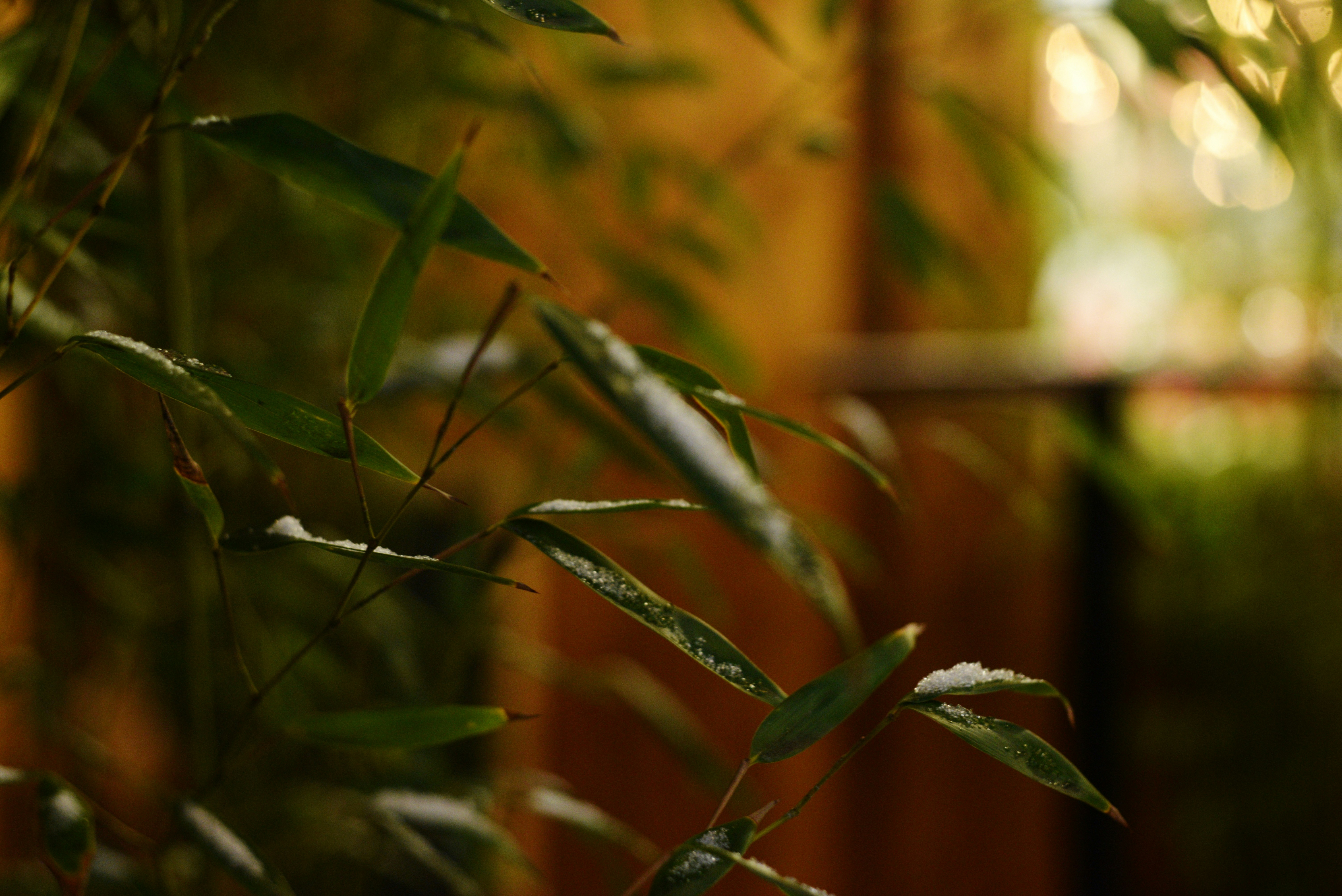 Photo by cherstve_pechivo