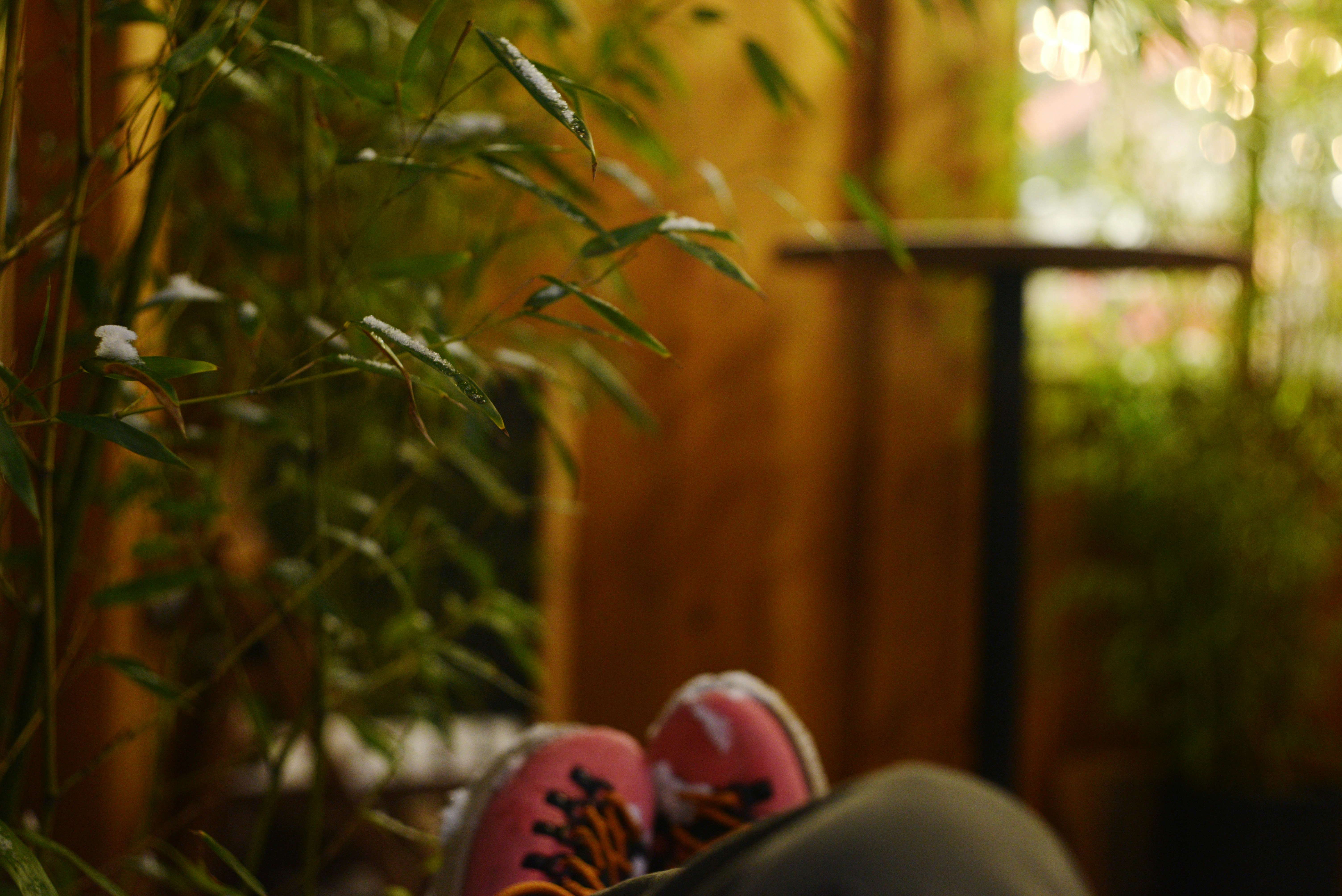 Photo by cherstve_pechivo