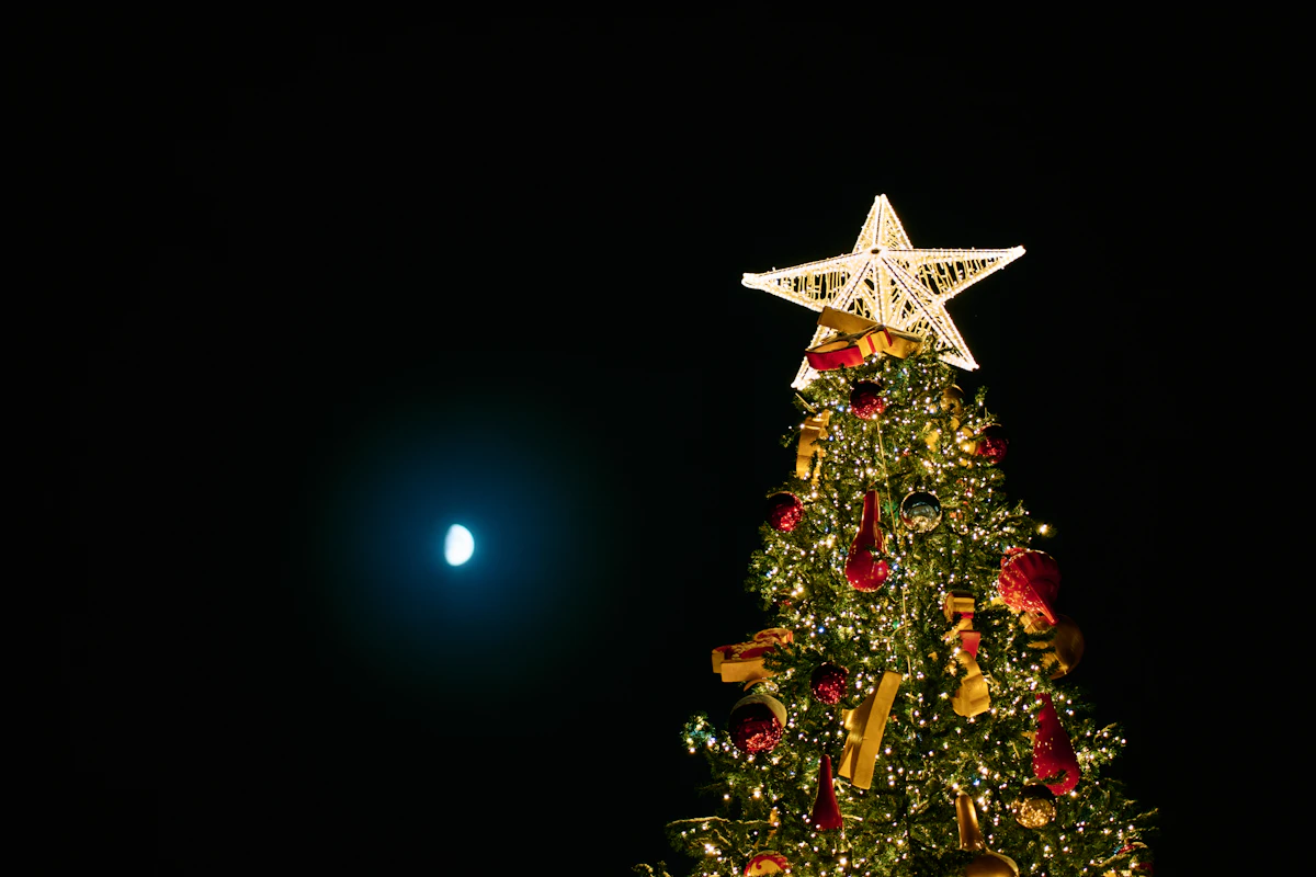 Decorated Christmas tree with a star glowing at night