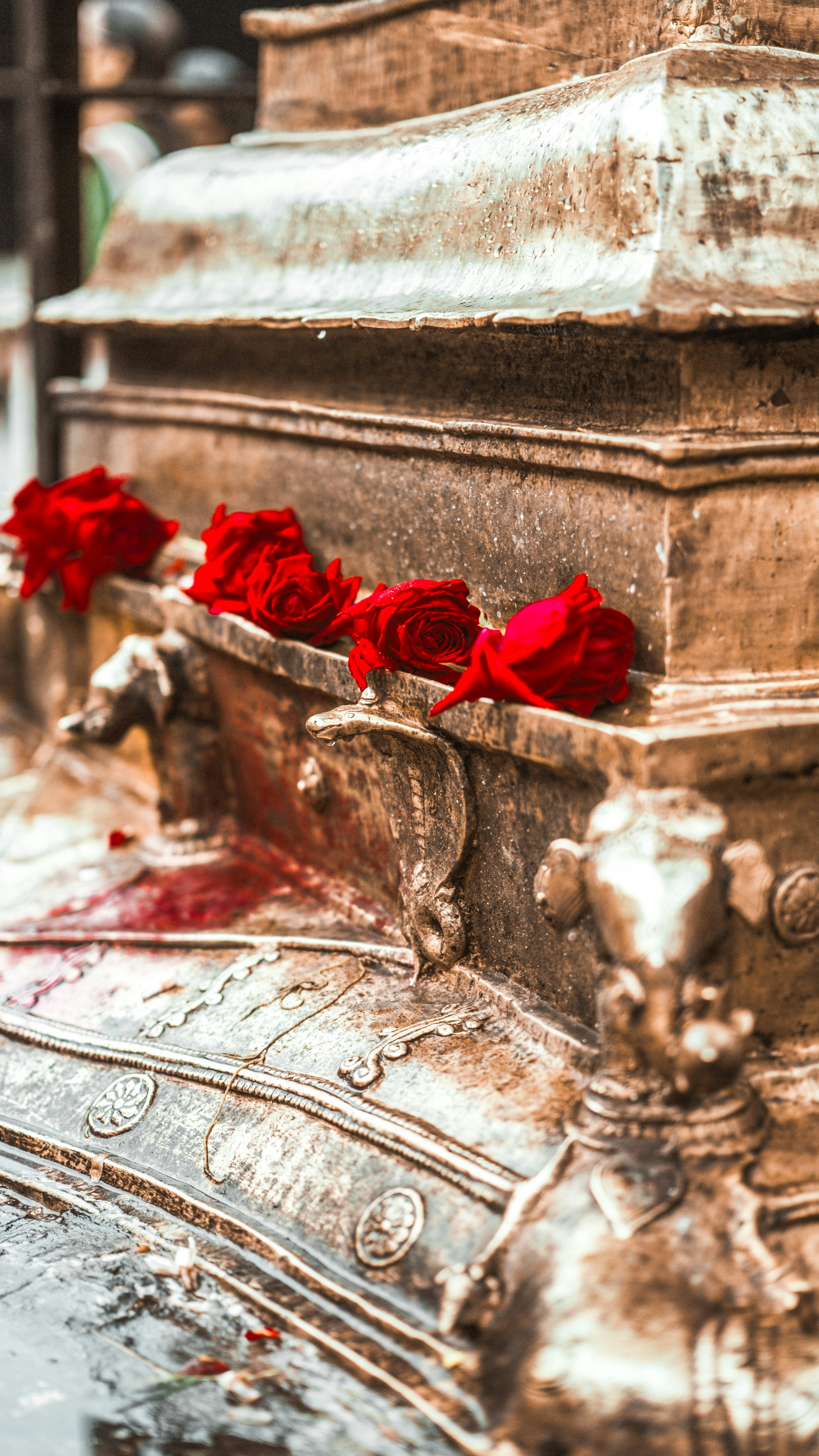 Roses rouges placées sur un monument de pierre orné