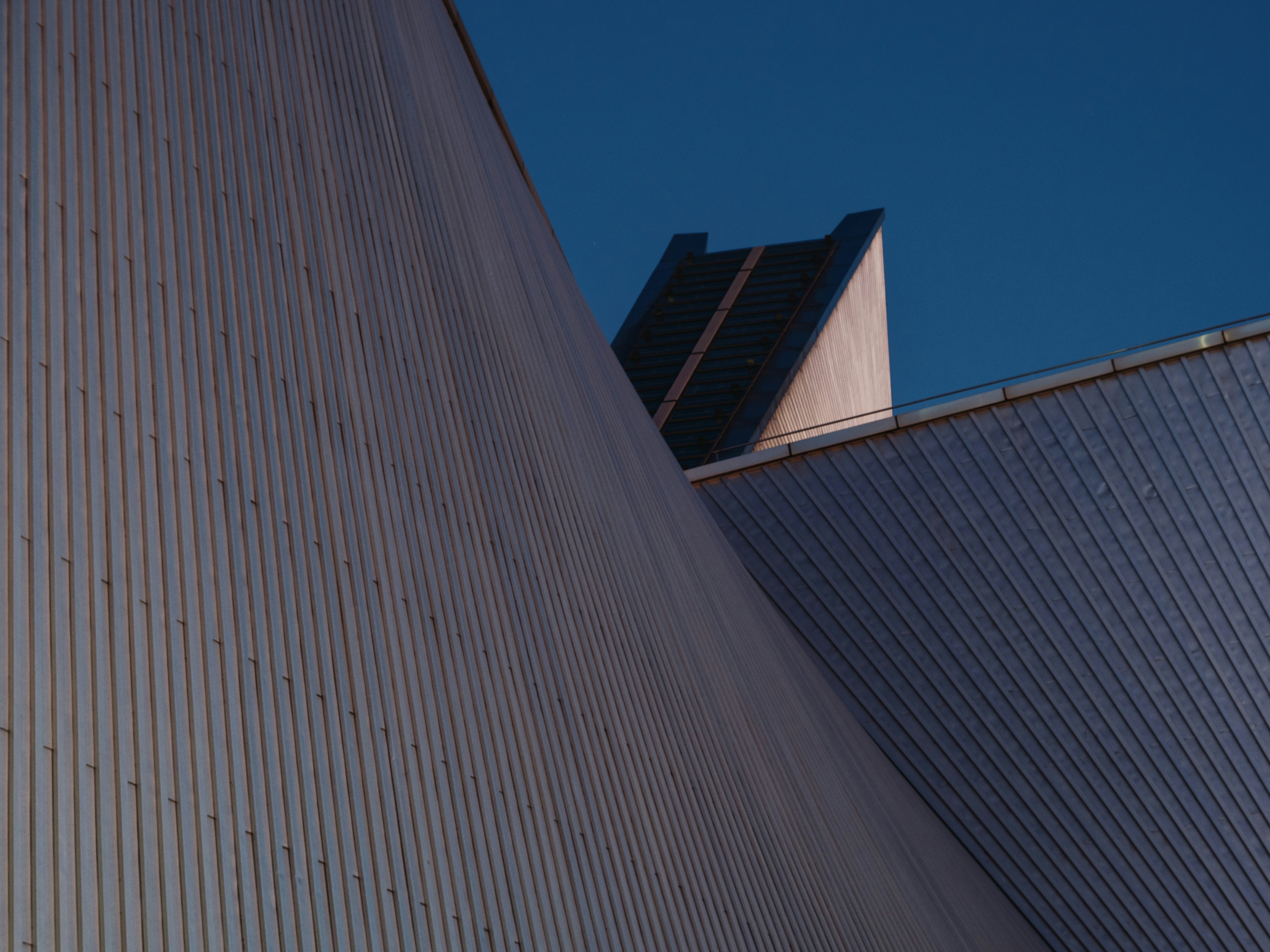 Photo by shellingfordyu