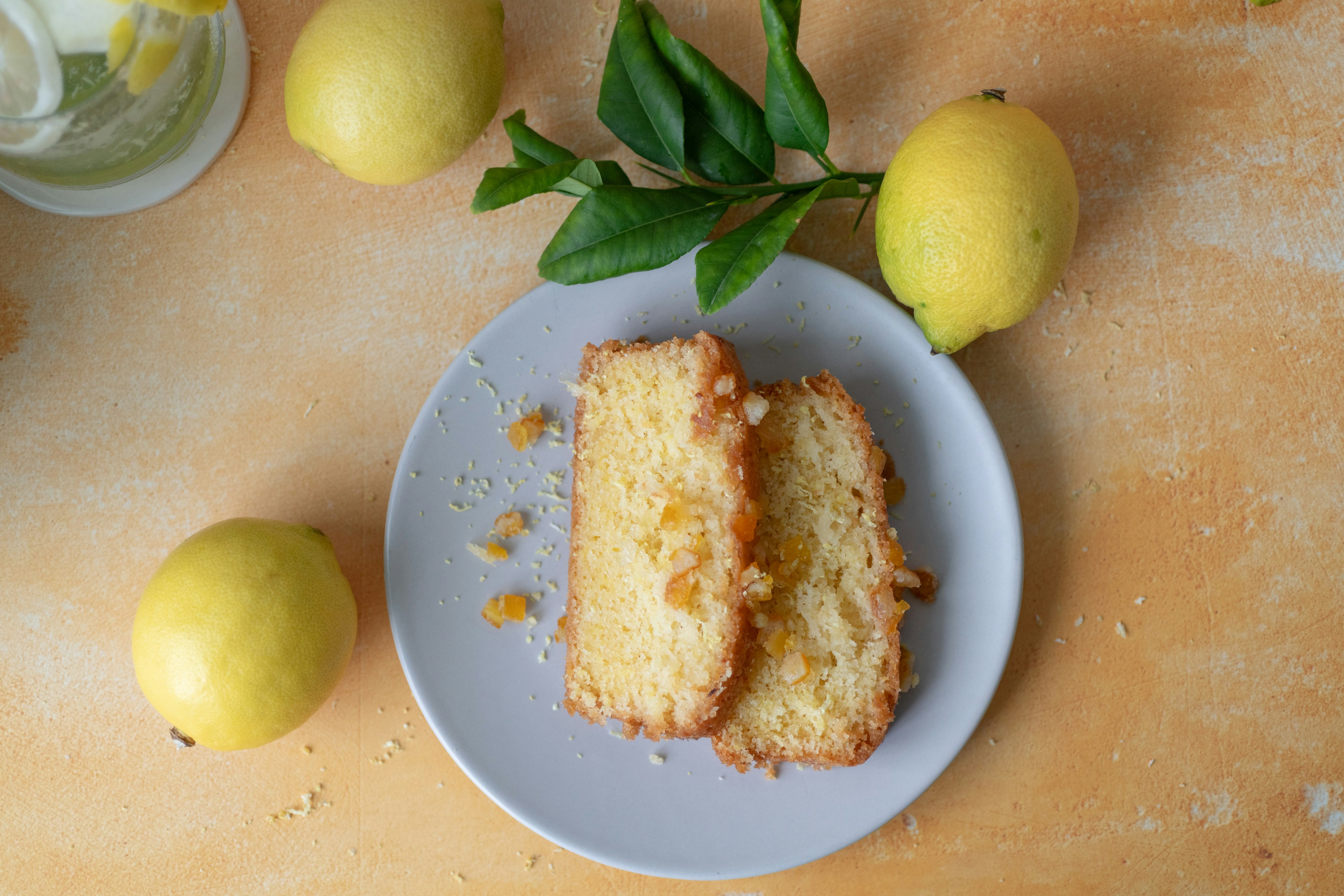 Photo by floratropicana