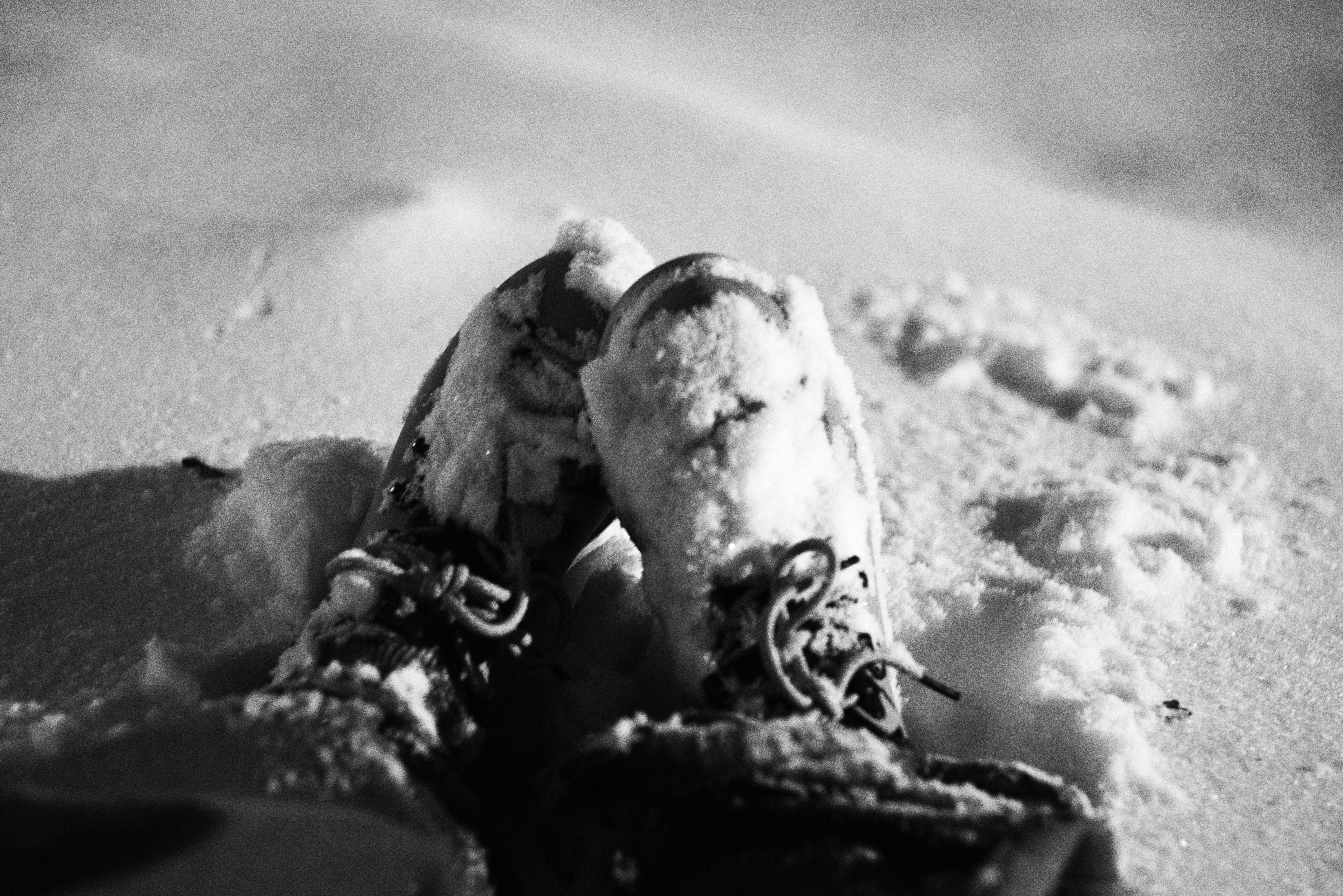 Photo by cherstve_pechivo