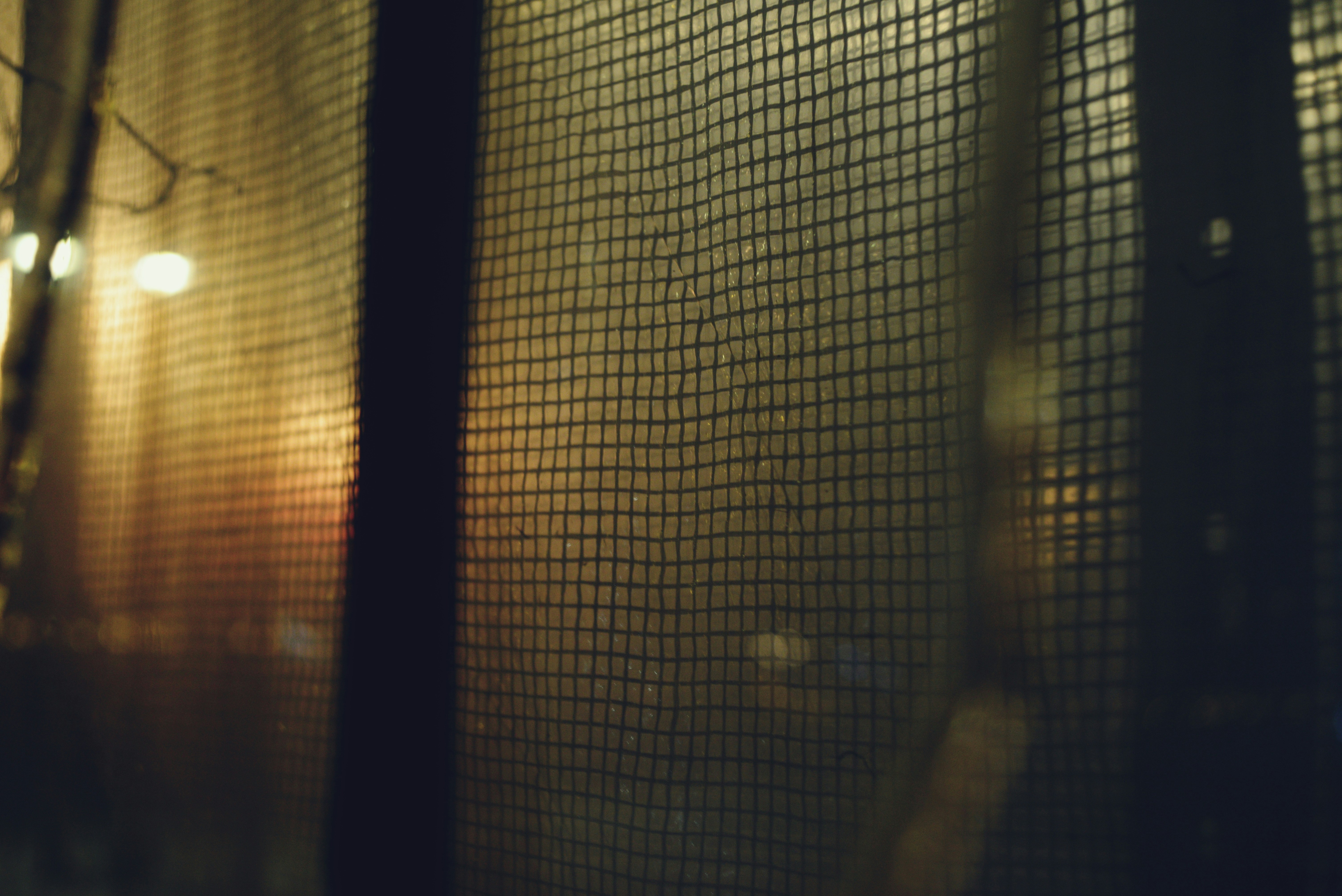 Photo by cherstve_pechivo