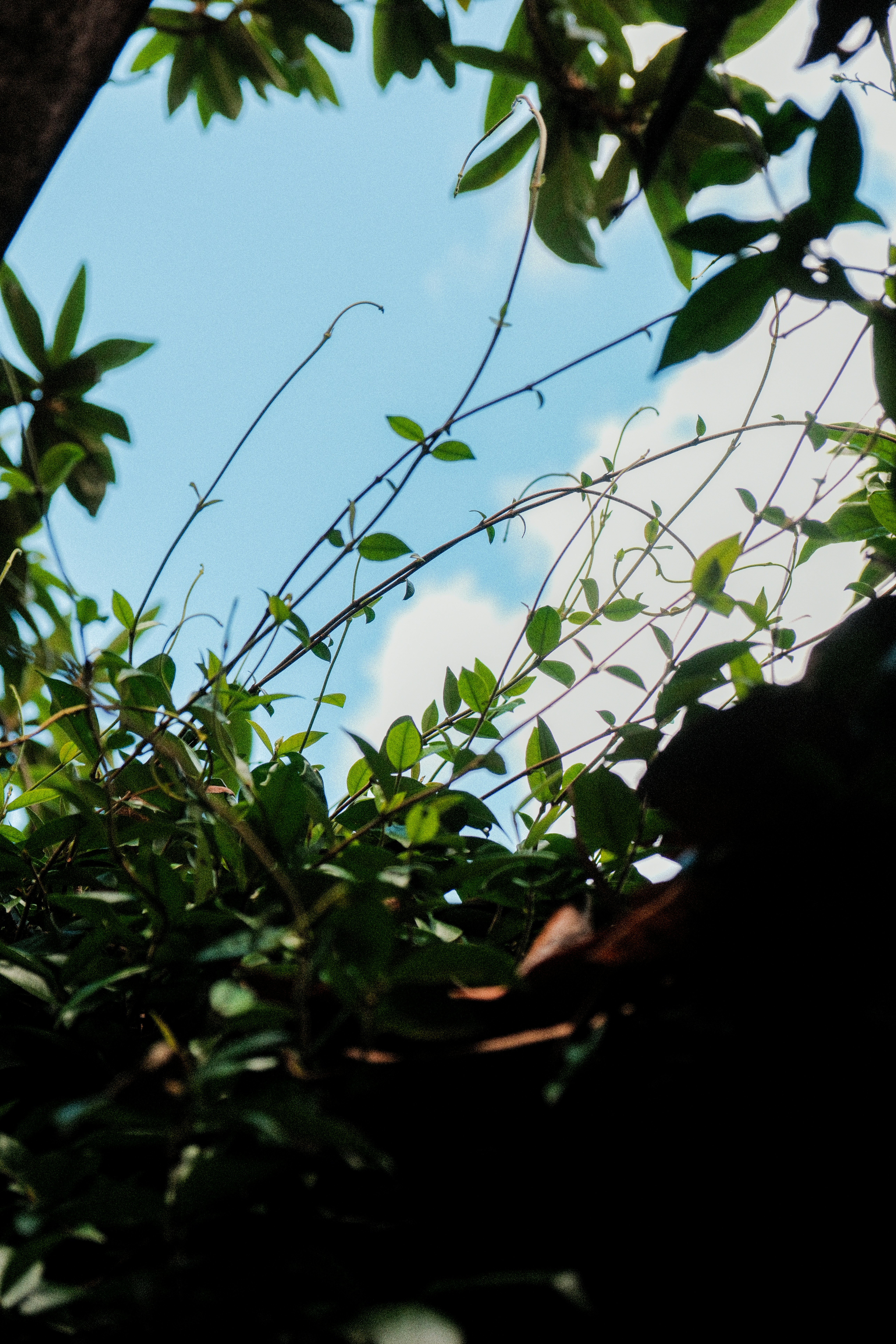 Photo by alexispresa