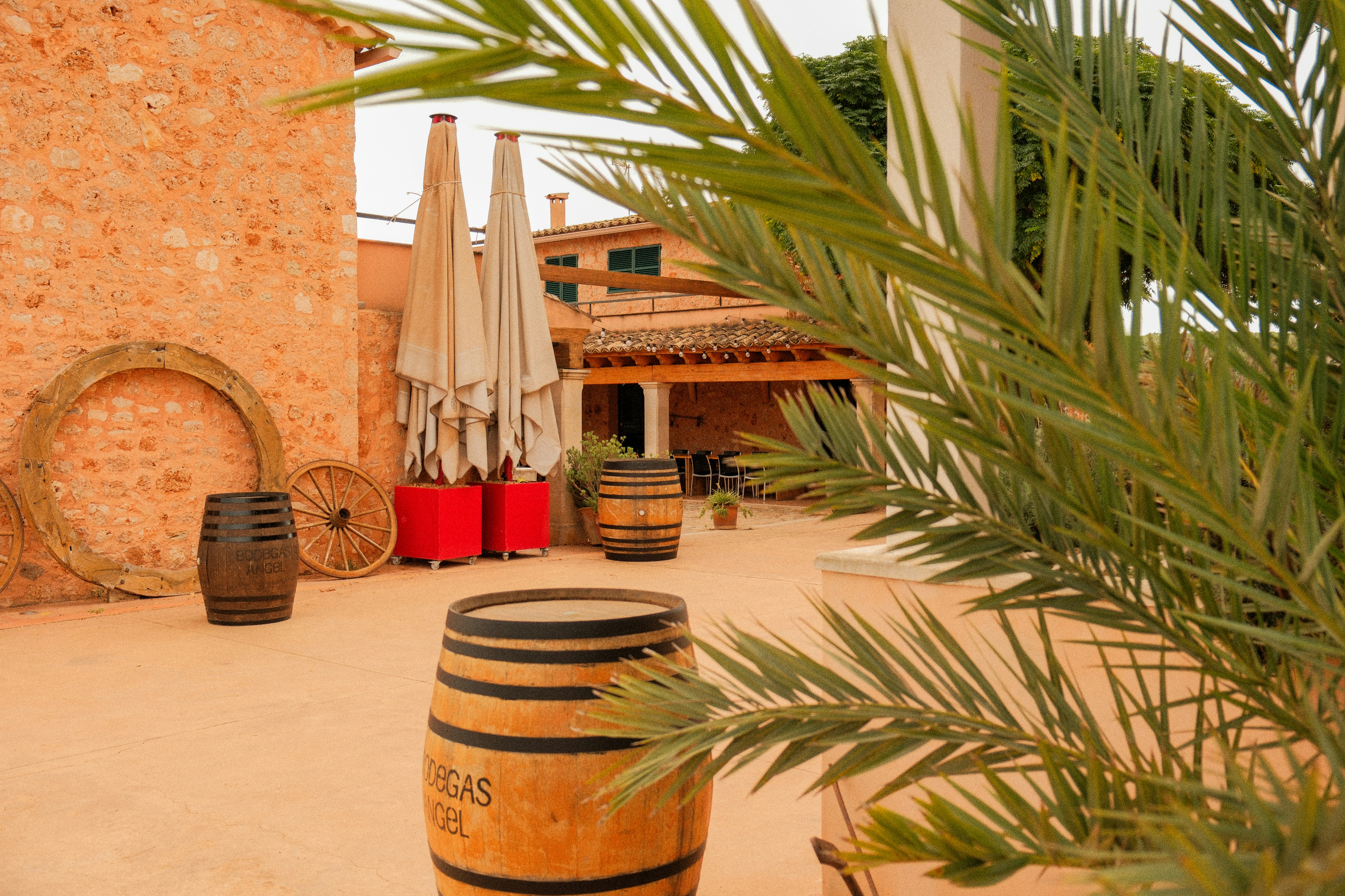 Photo by alexispresa