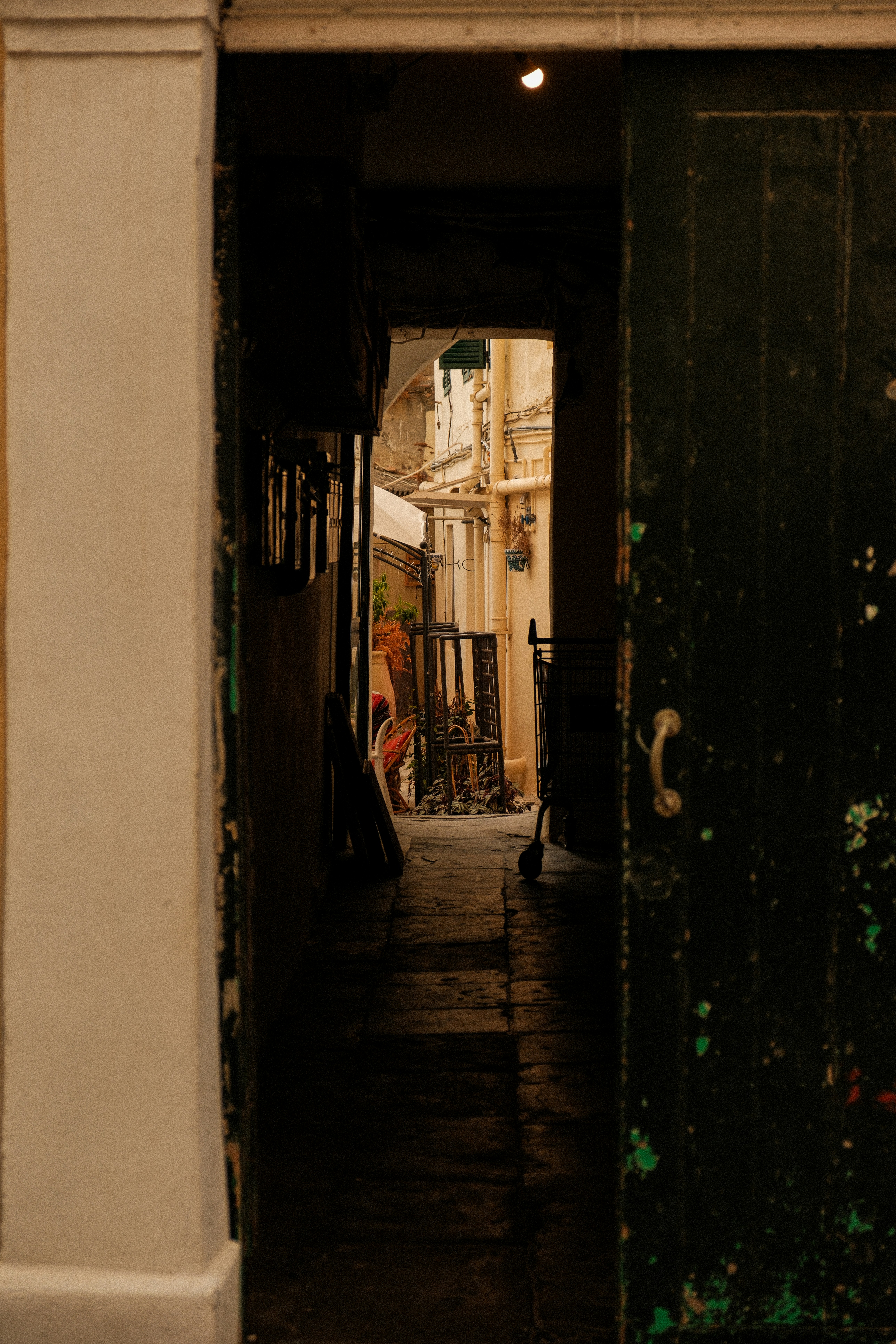 Photo by alexispresa