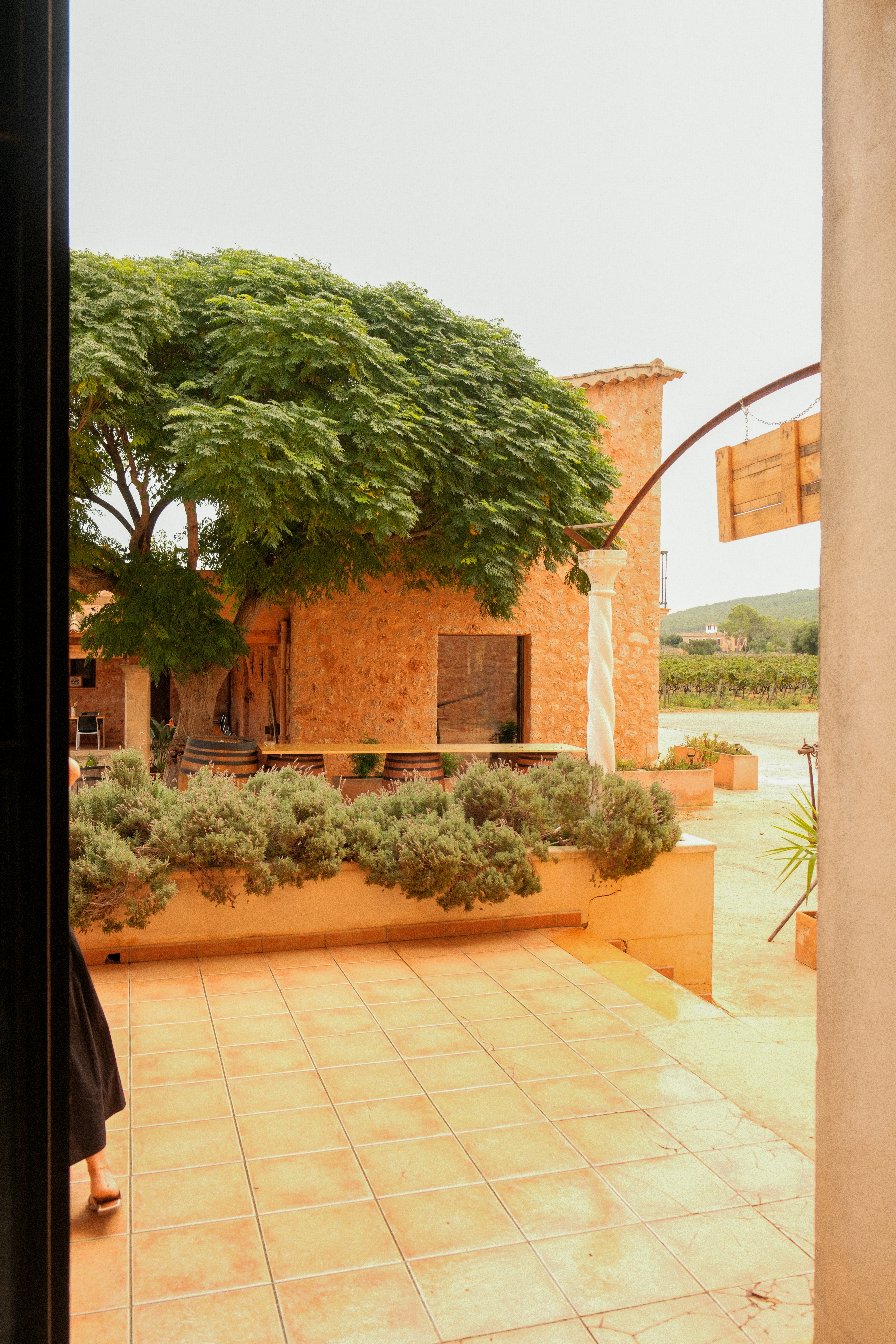 Photo by alexispresa