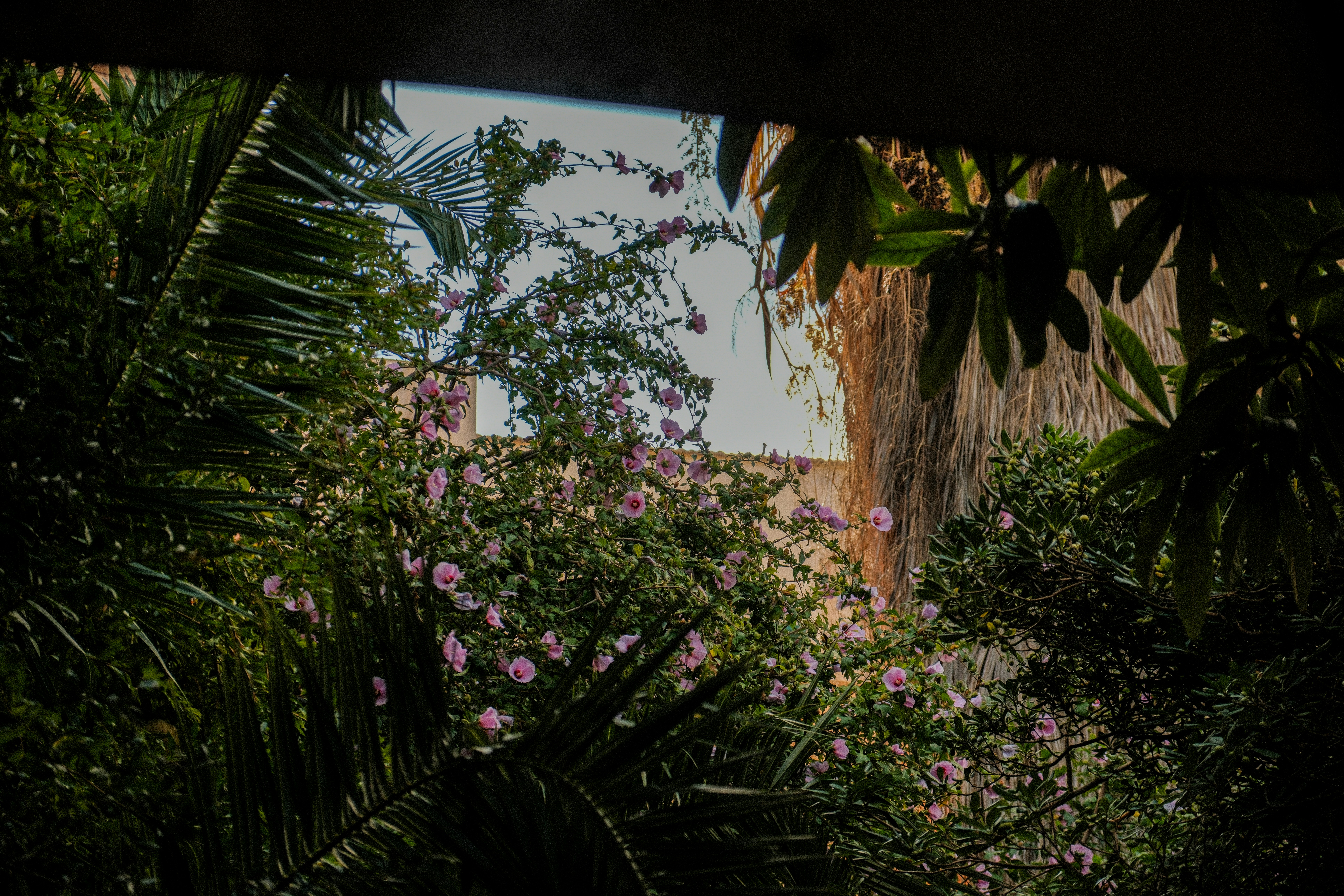 Photo by alexispresa