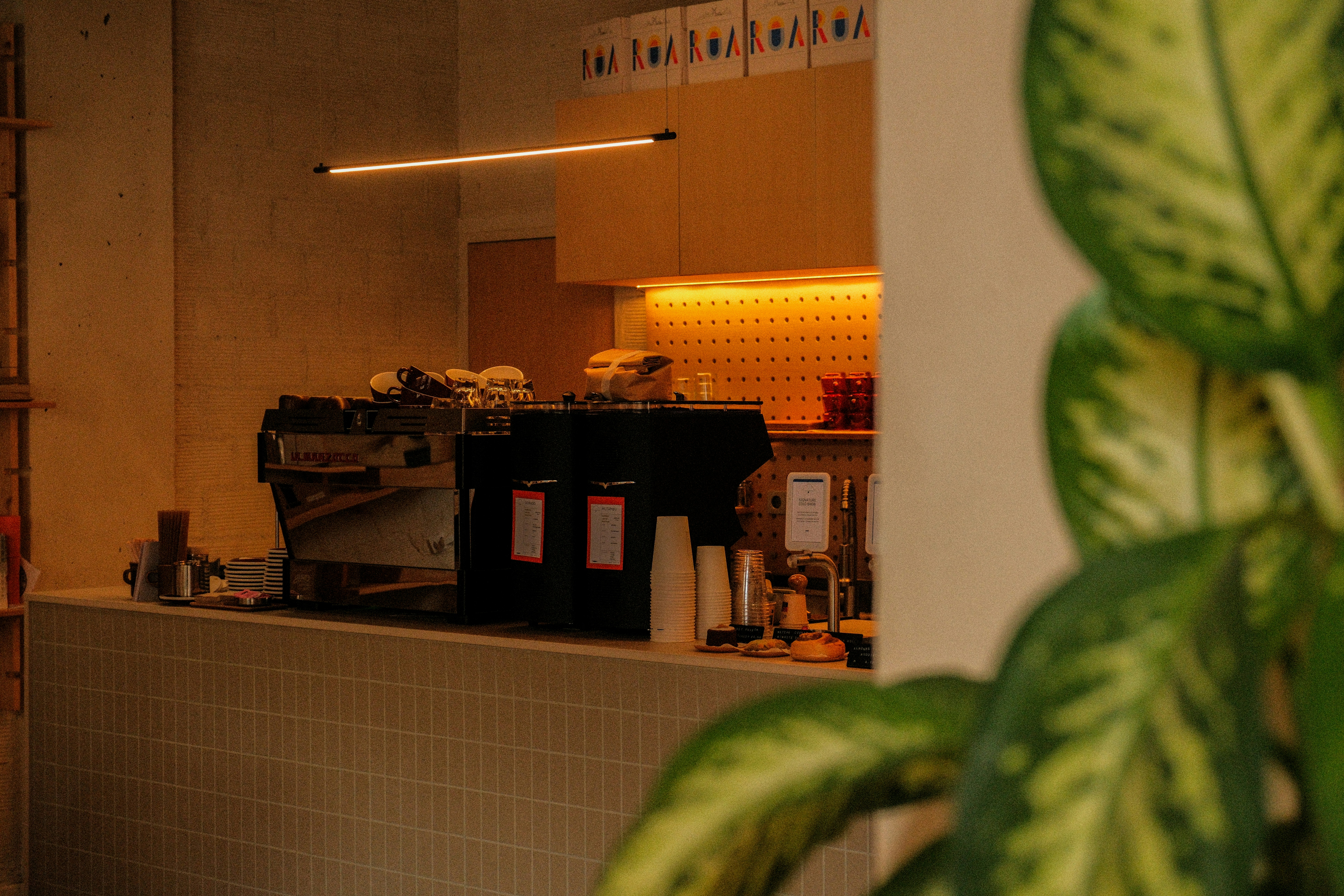 Photo by alexispresa