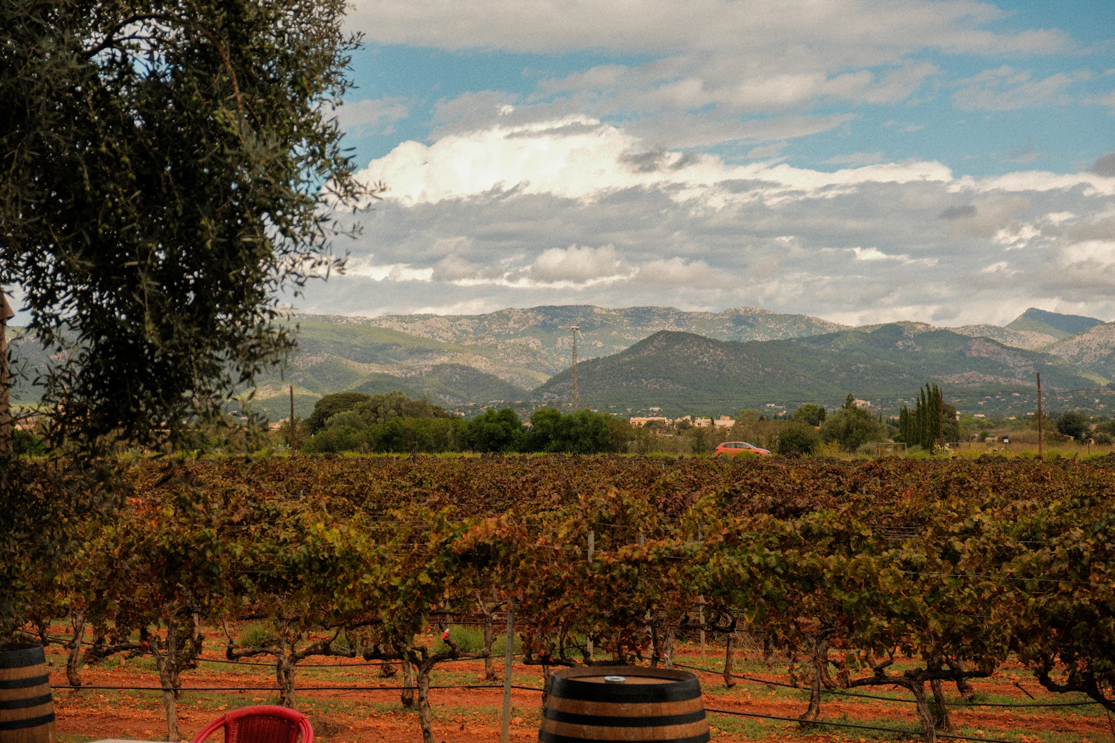 Rioja vineyard landscape