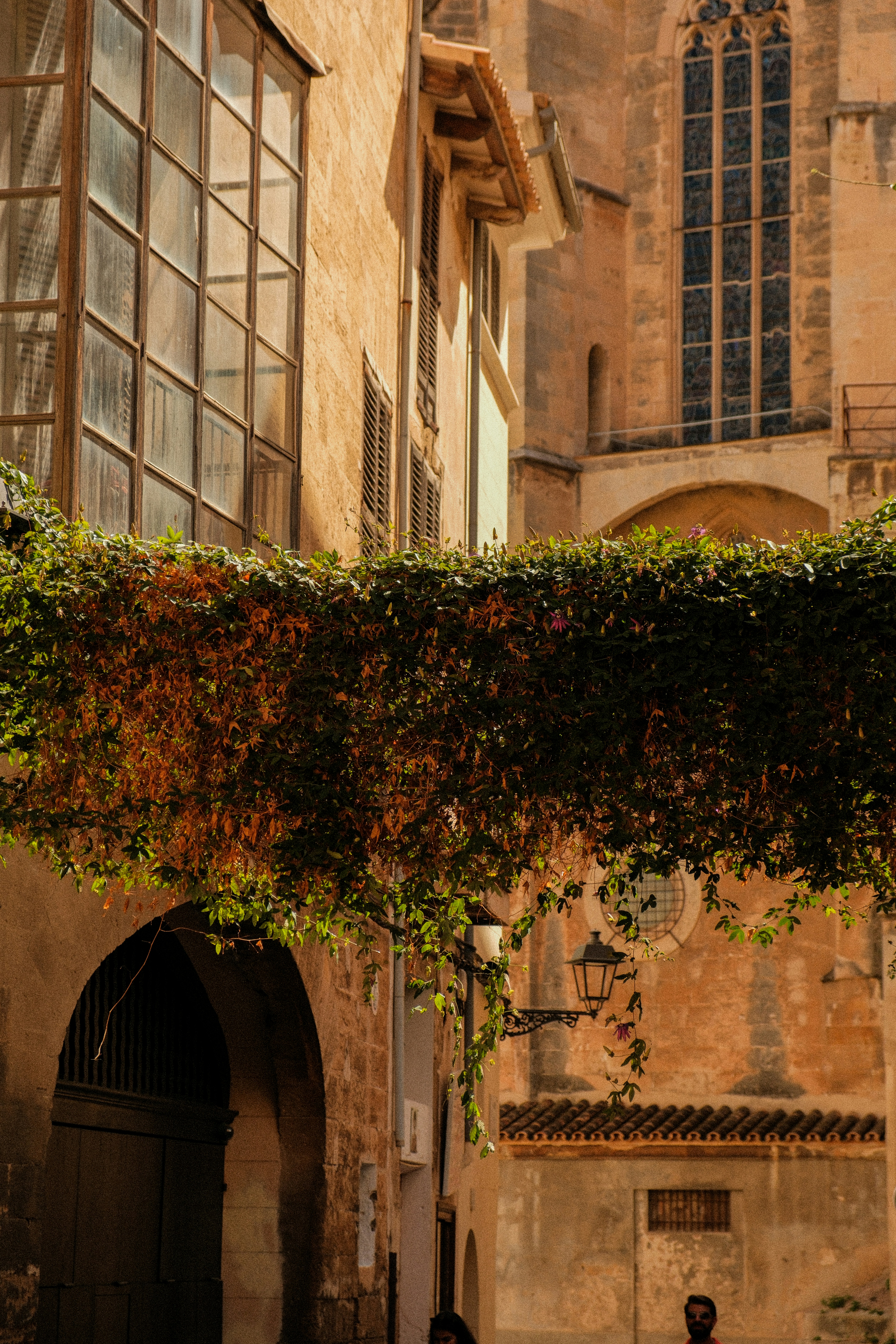 Photo by alexispresa