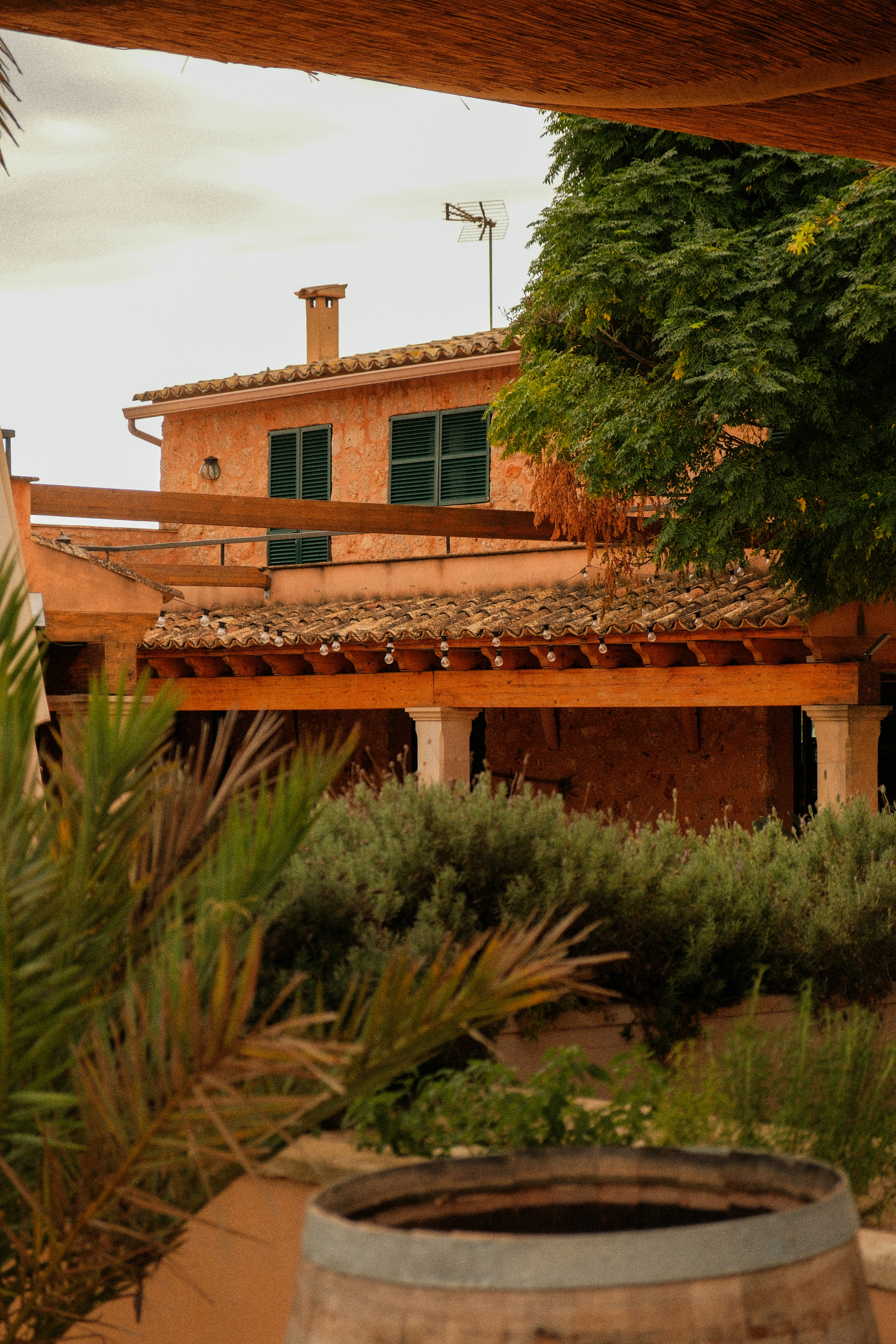 Photo by alexispresa