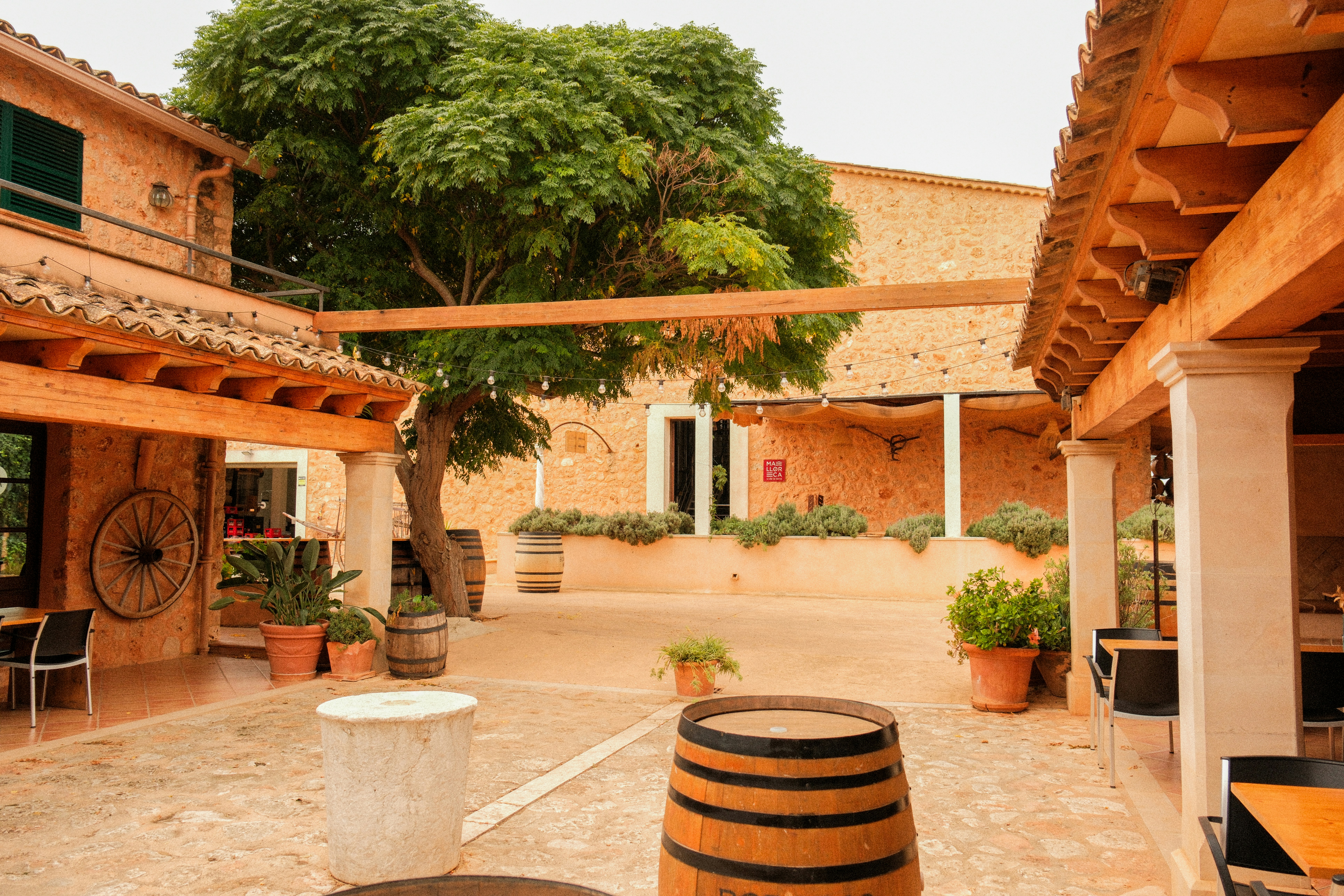 Photo by alexispresa