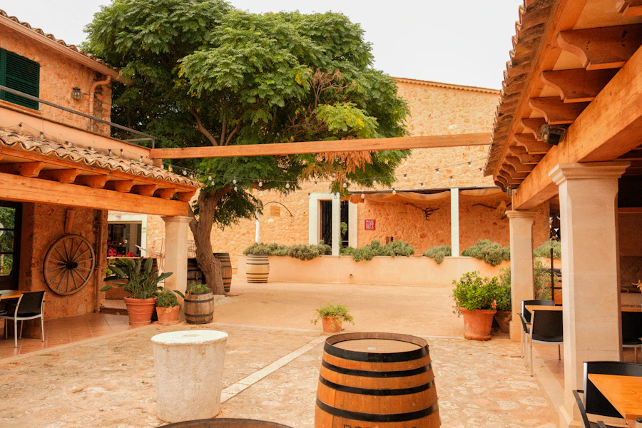 Inner courtyard of a Mediterranean boutique hotel with a large tree