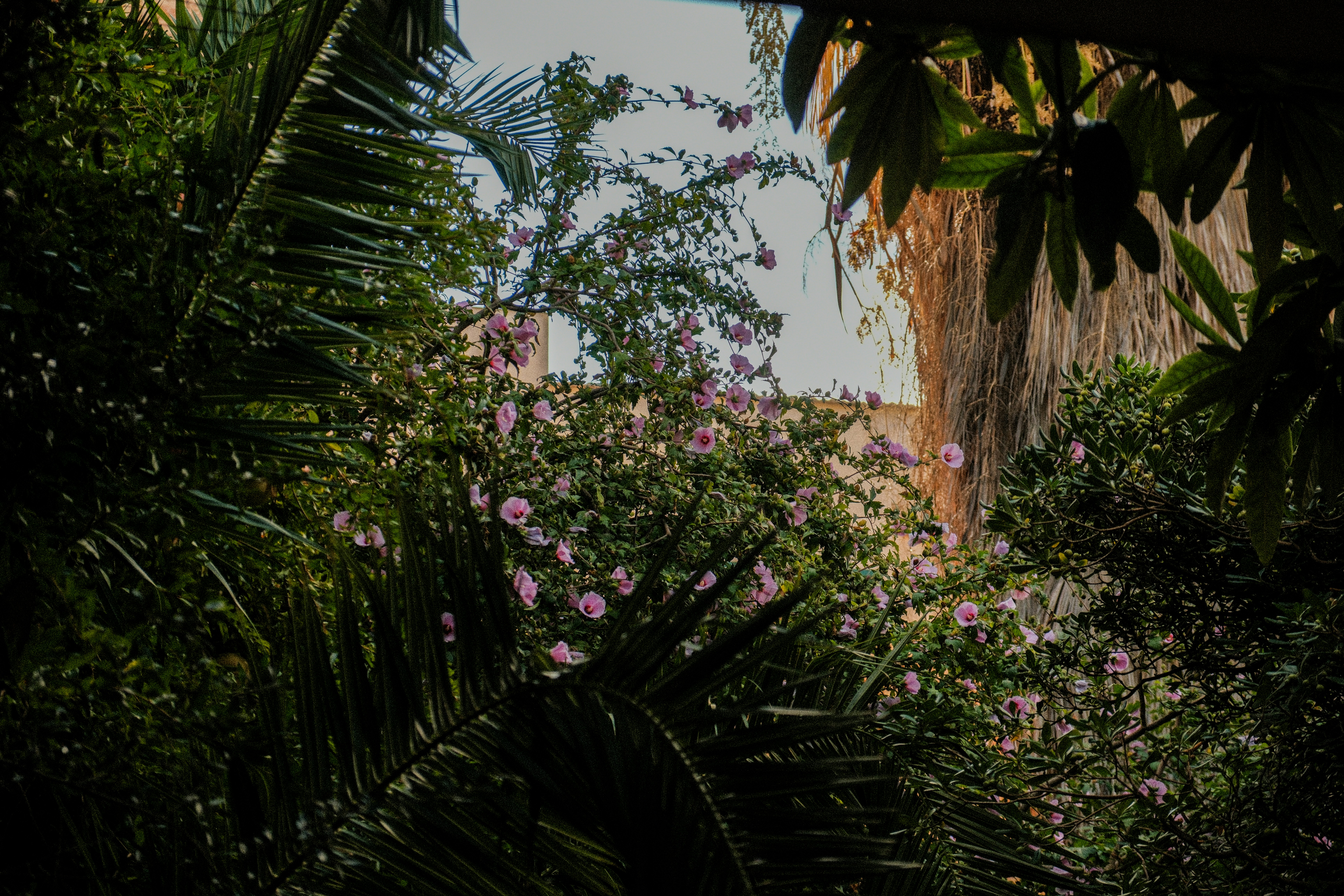 Photo by alexispresa