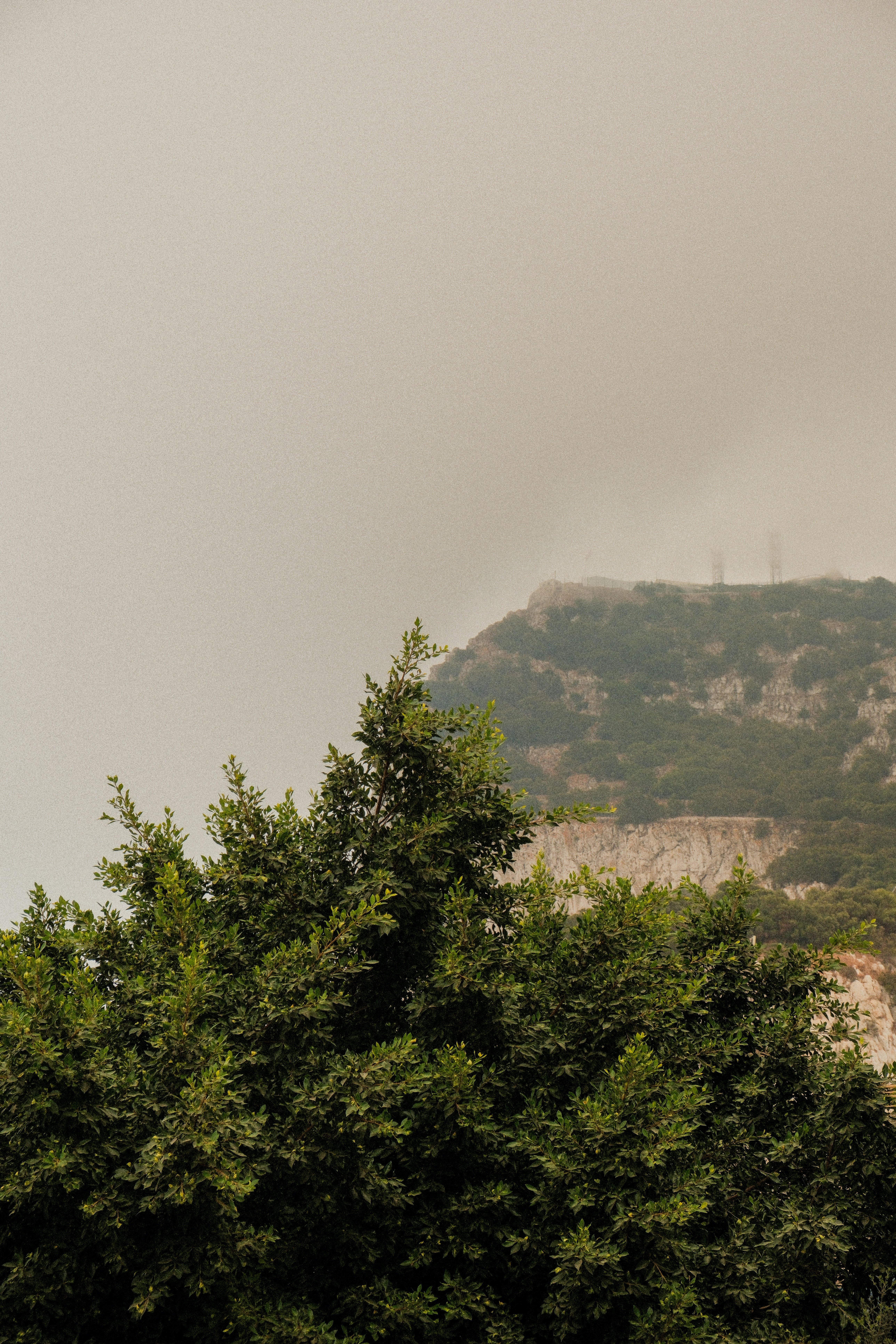 Photo by alexispresa