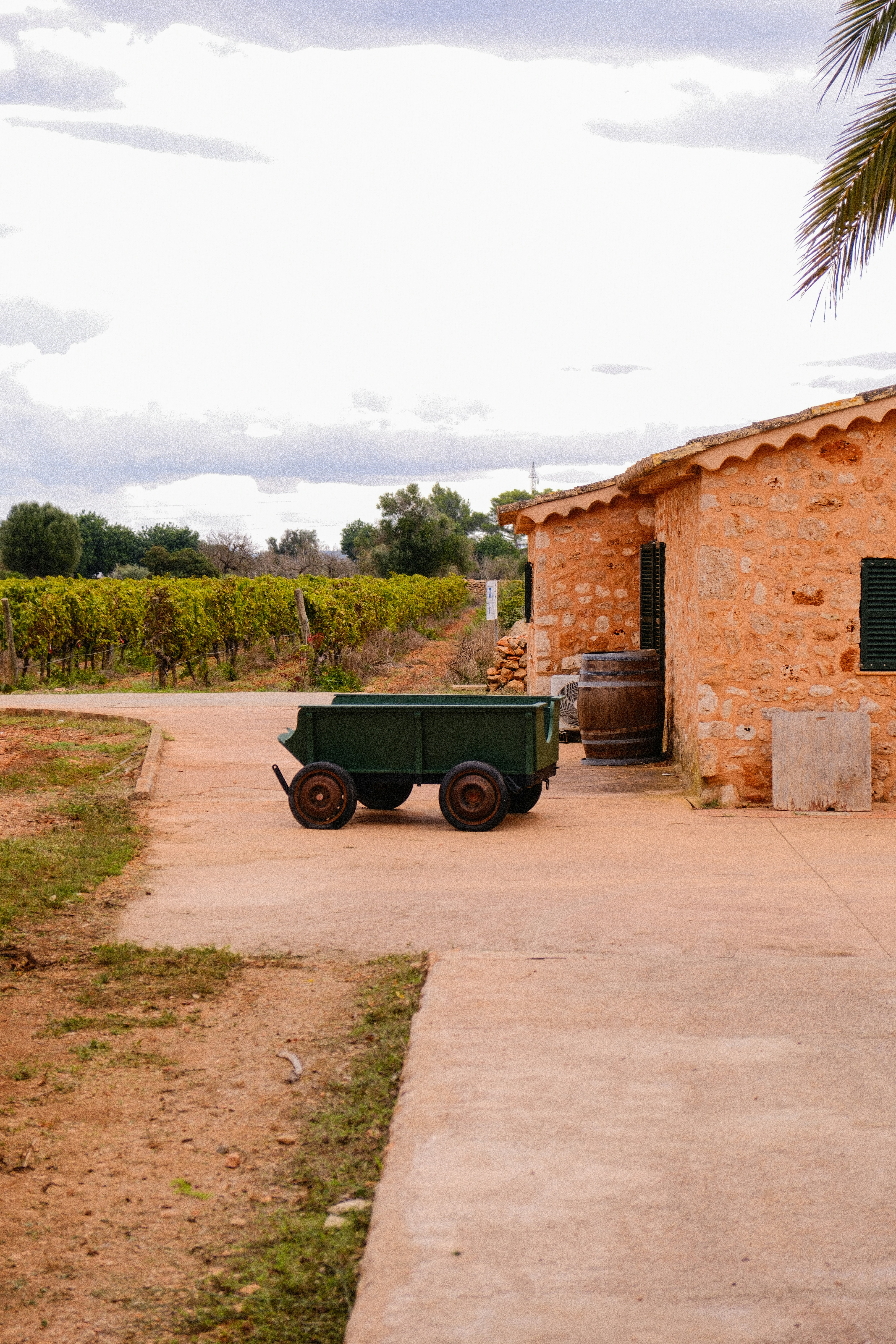 Top 10 Expertos en automatizar la recuperación de carritos abandonados en Palma