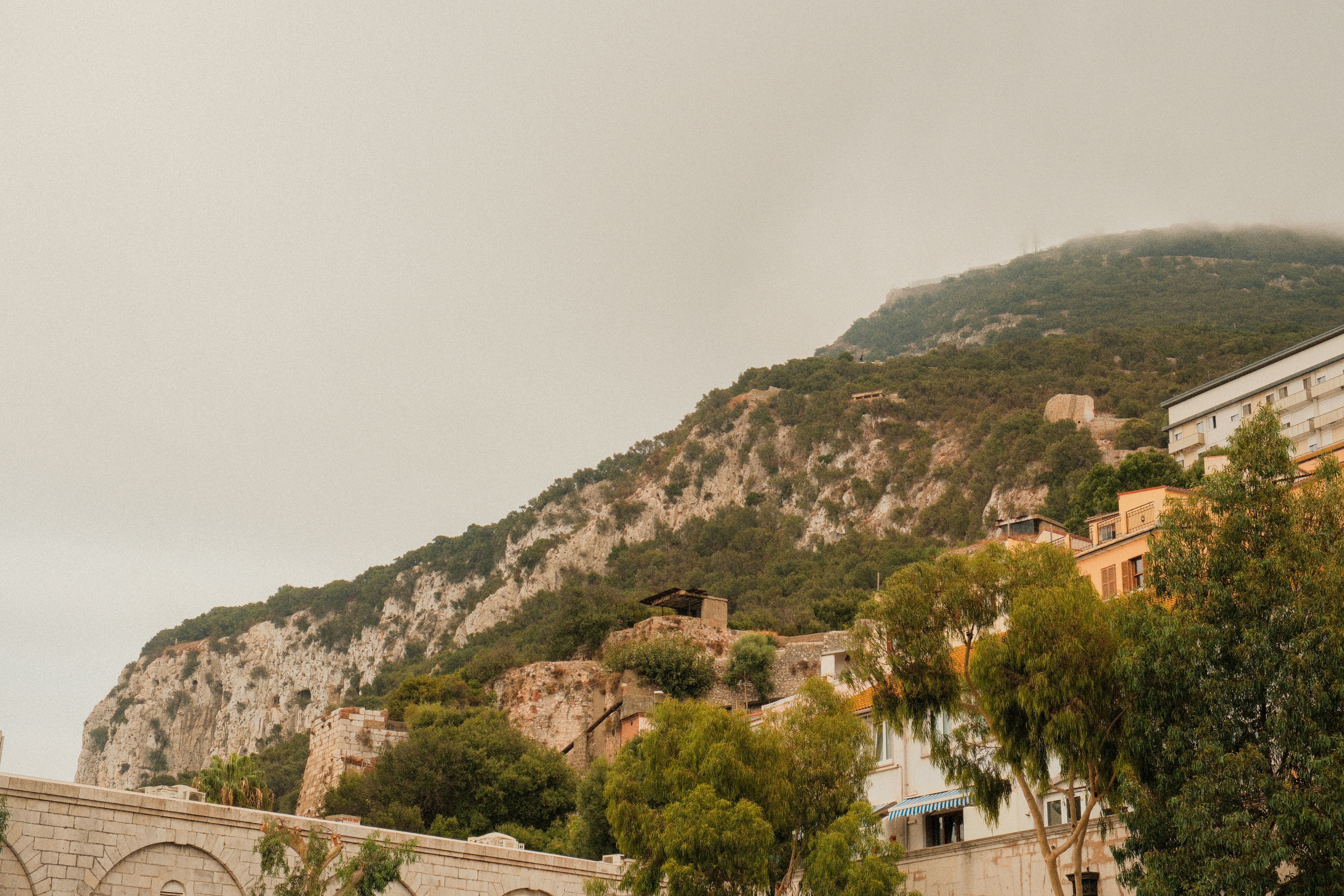 Photo by alexispresa