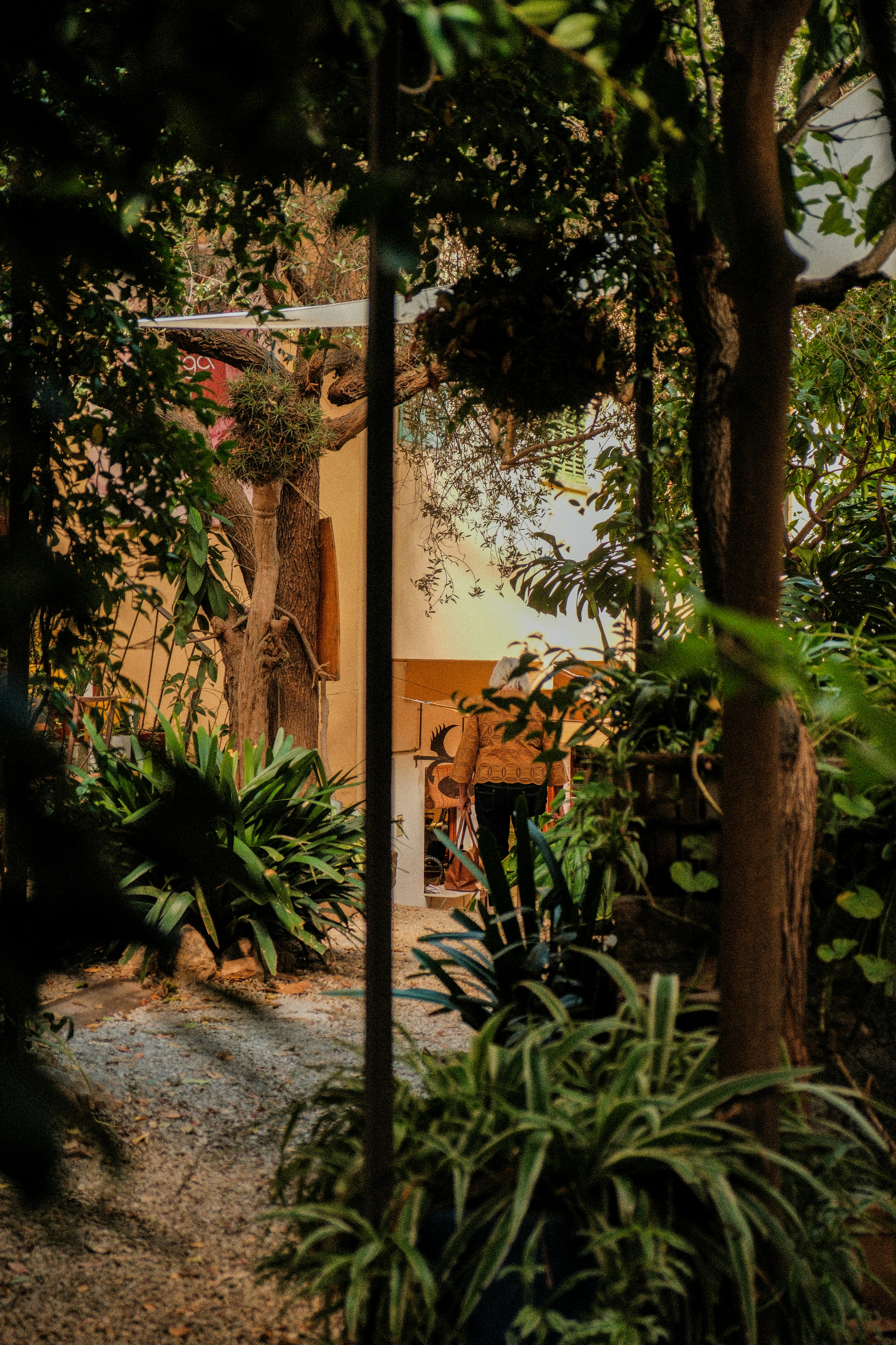 Photo by alexispresa