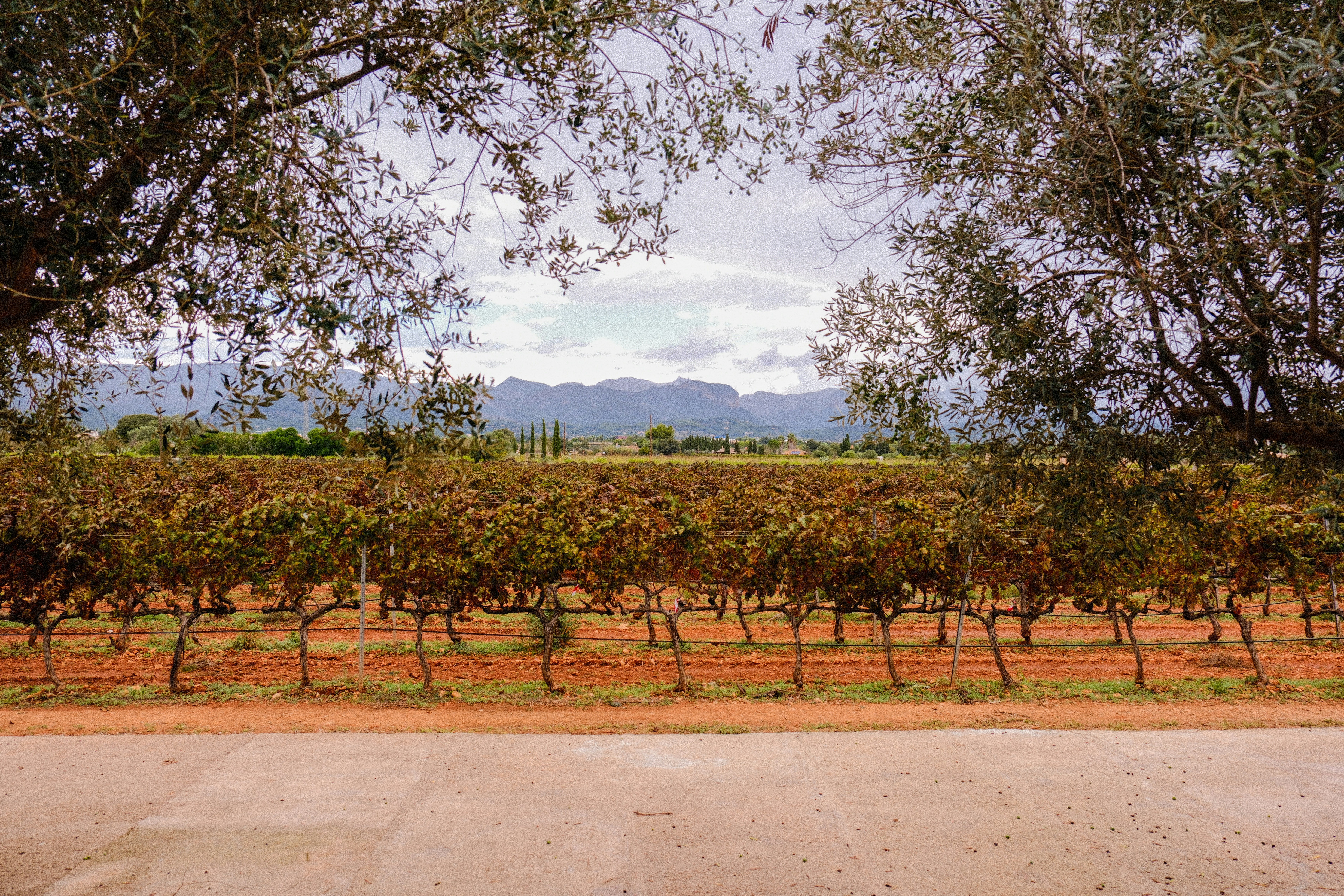 Photo by alexispresa