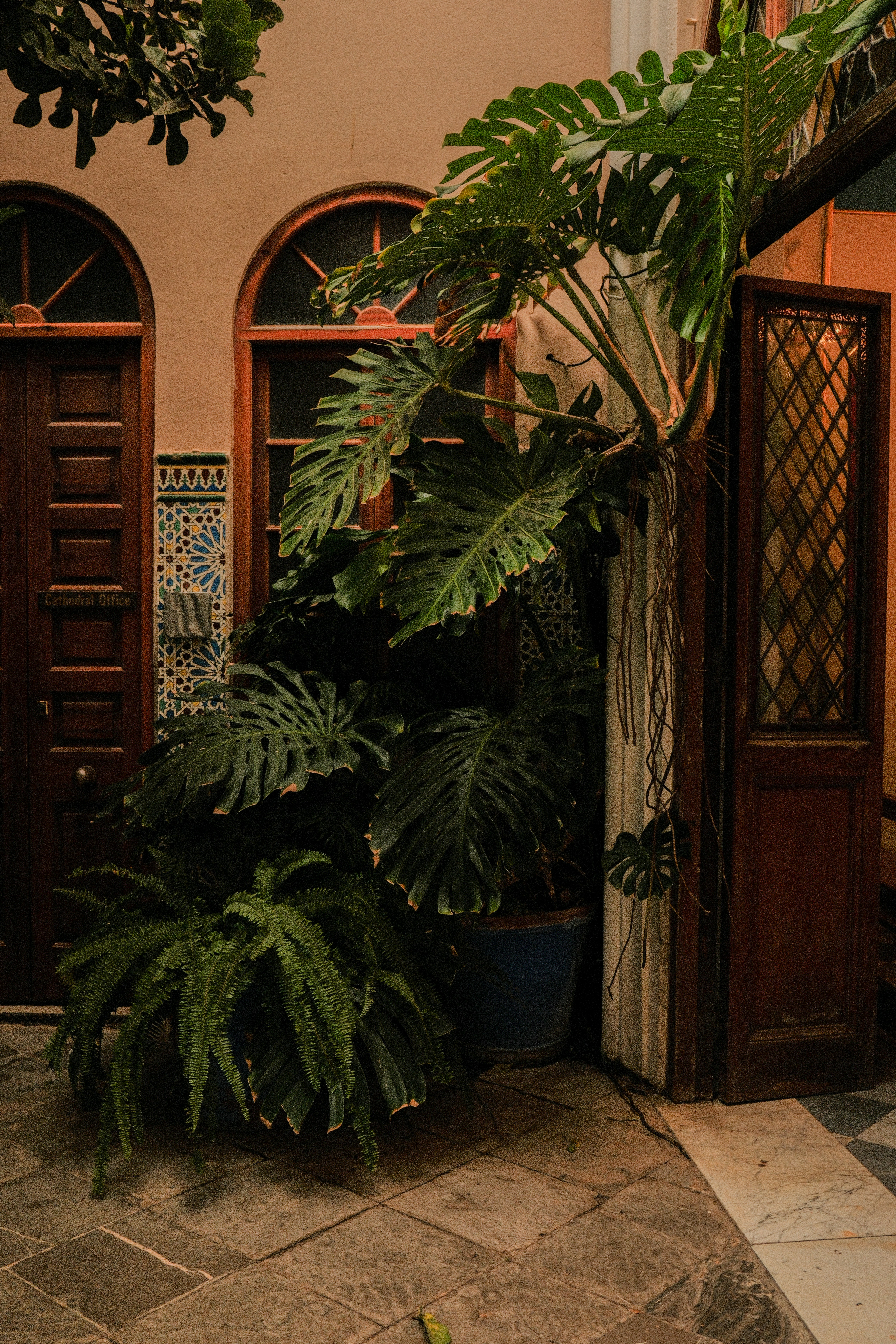 Photo by alexispresa