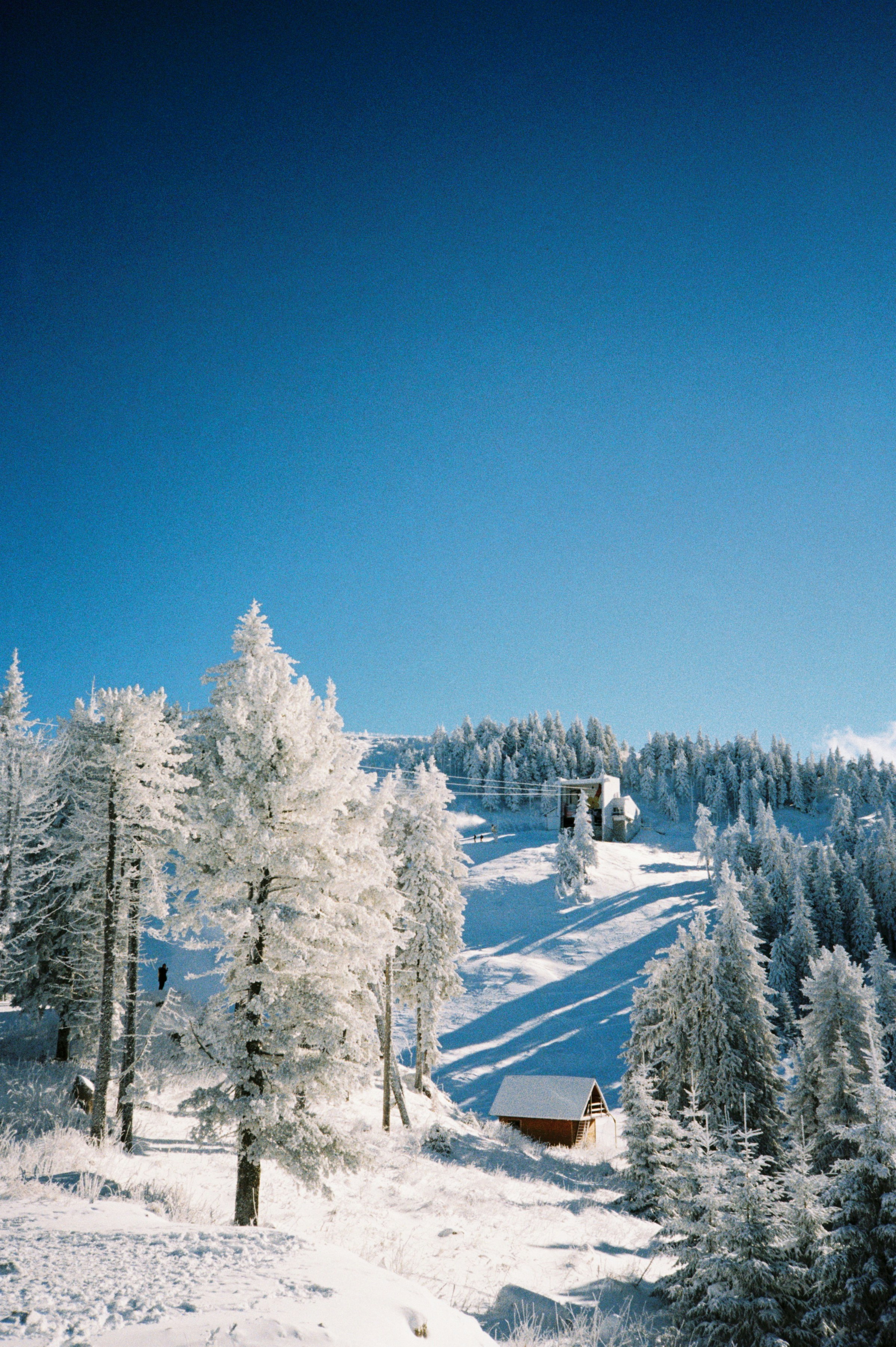 Photo by mirceadrian