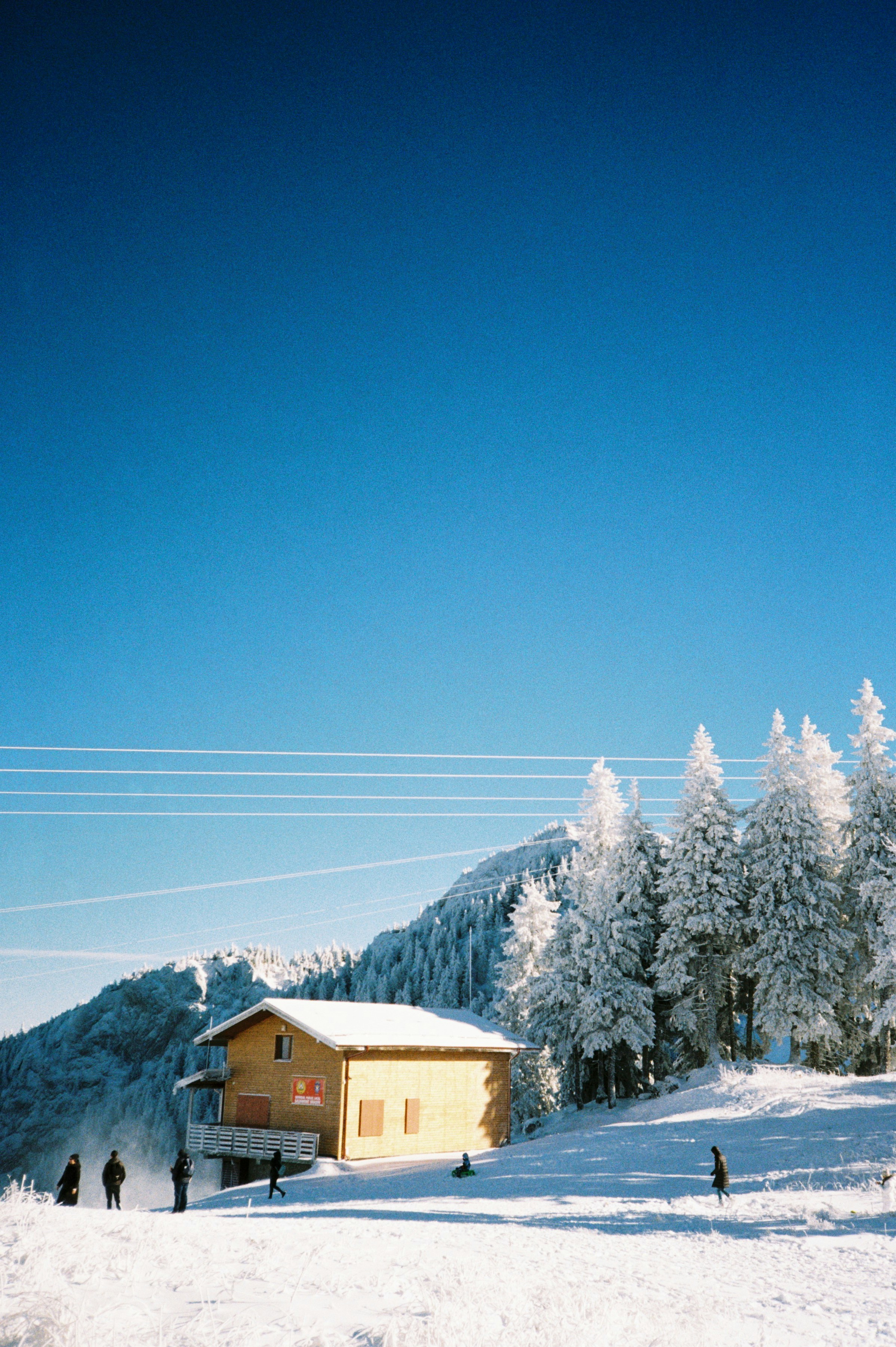 Photo by mirceadrian