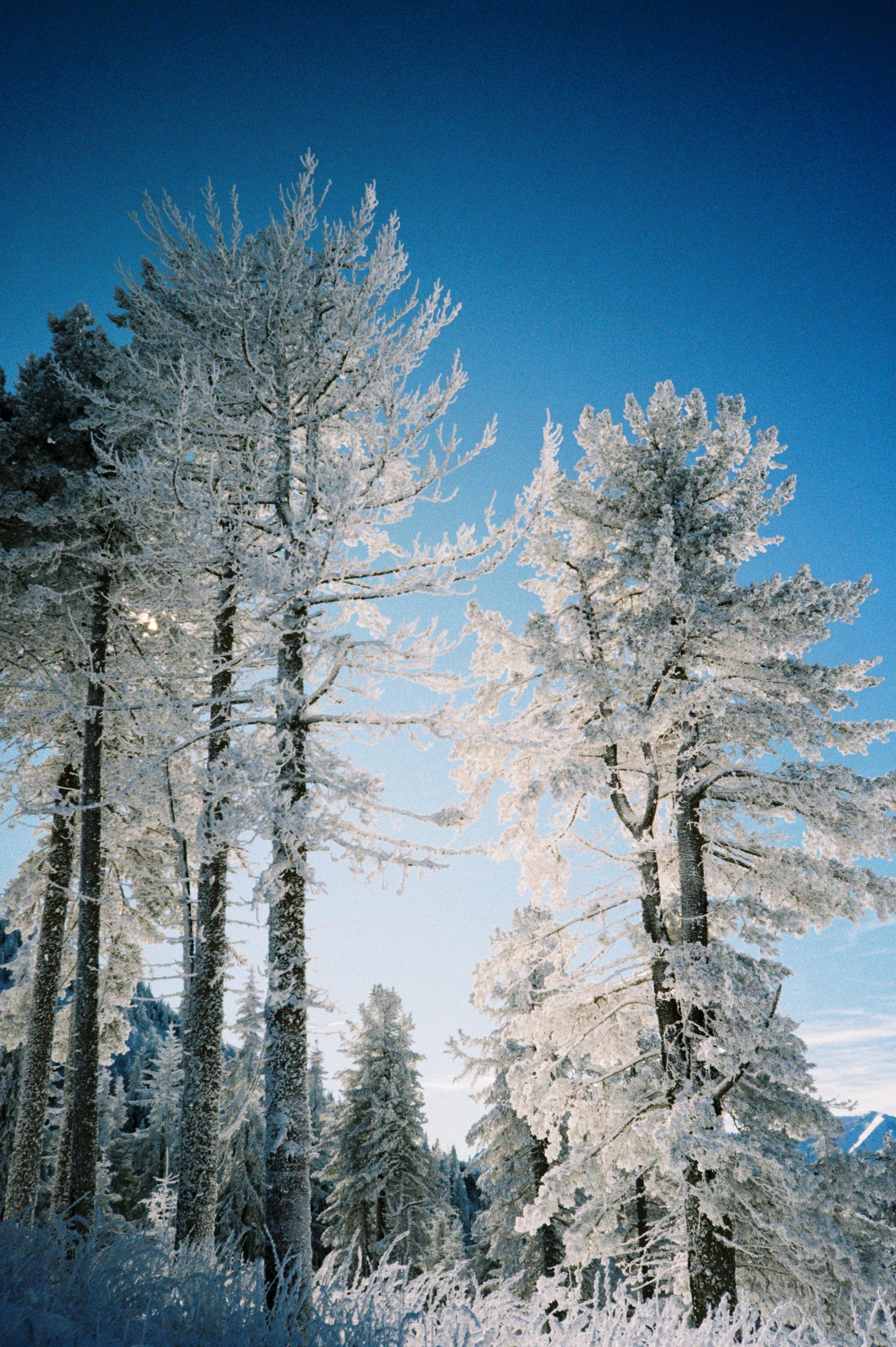 Photo by mirceadrian