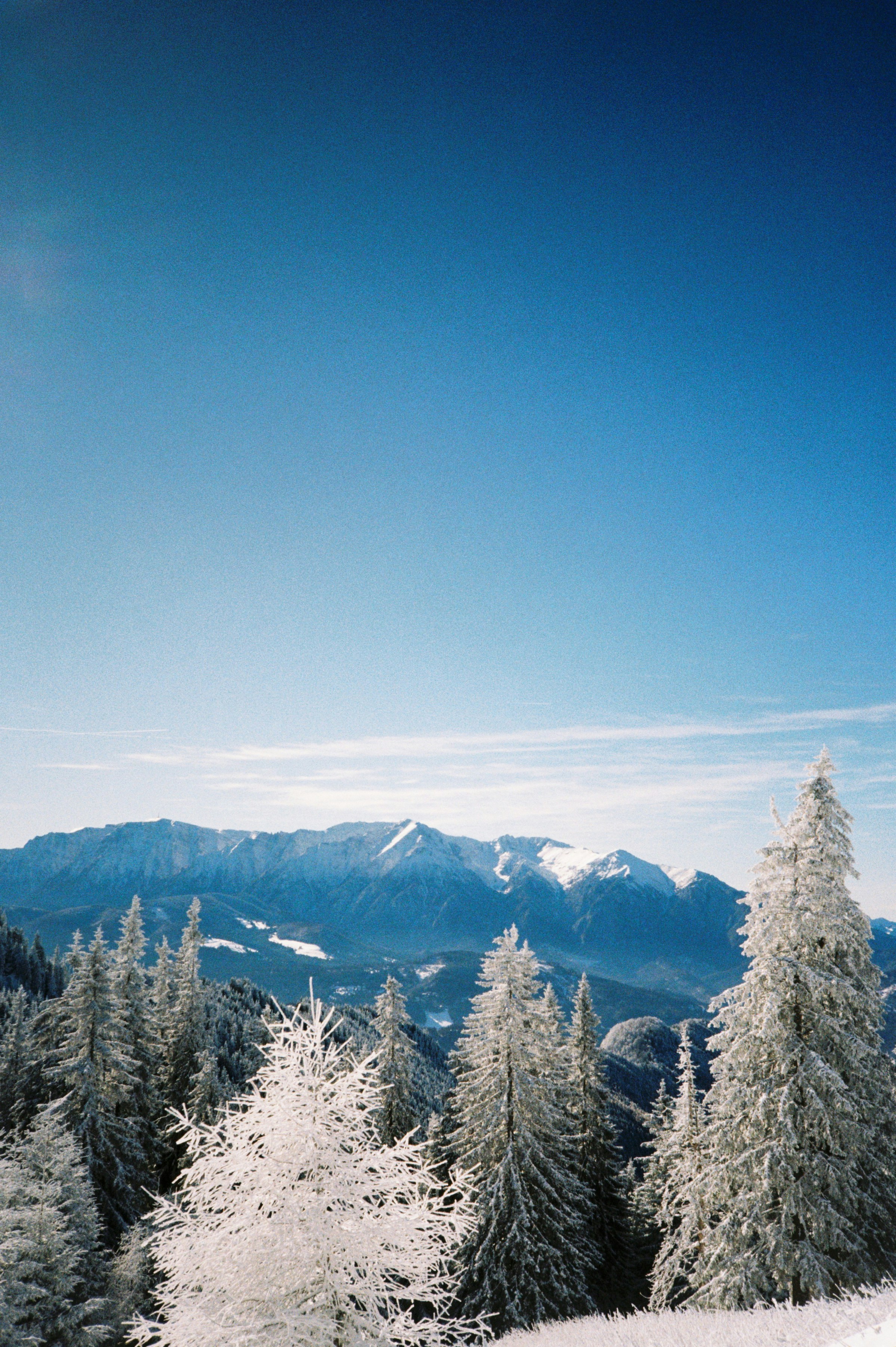 Photo by mirceadrian