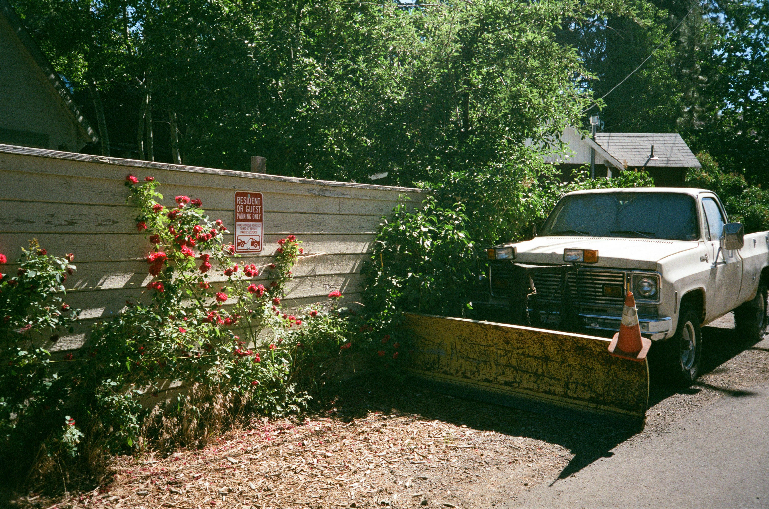 Photo by polinalavor