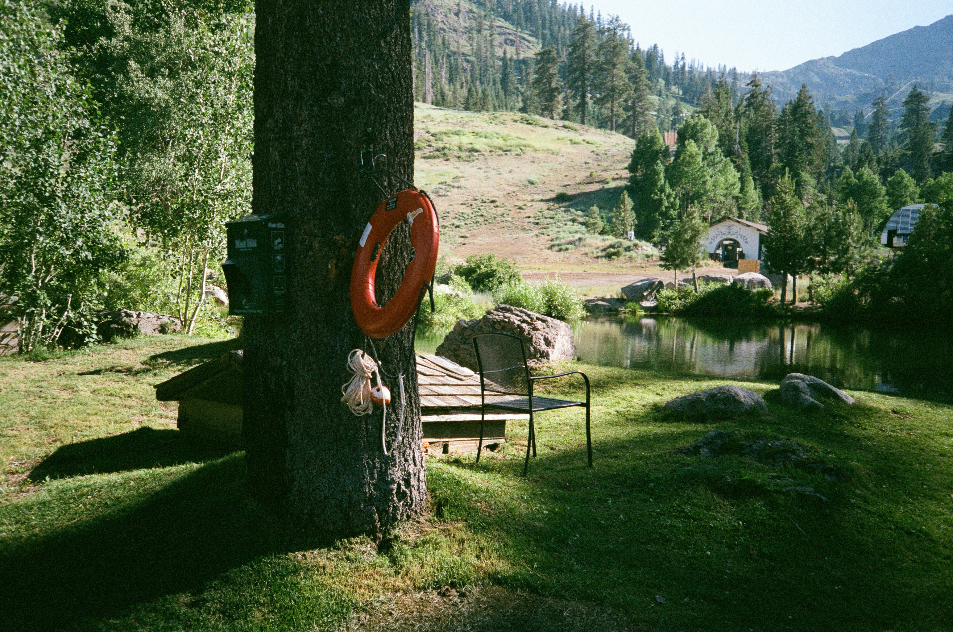 Orange life preserver hanging on tree by a tree