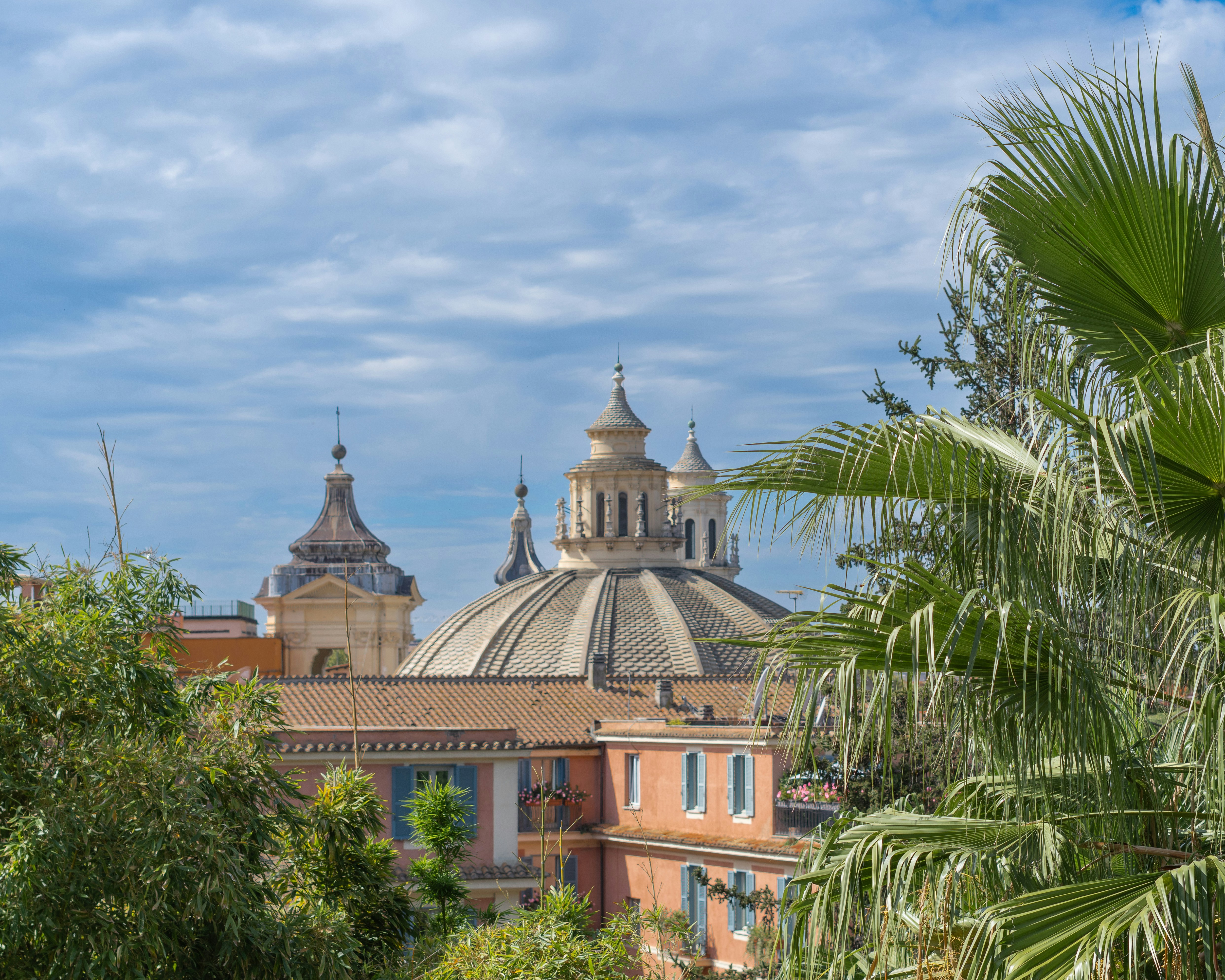 Domes and buildings seen through palm fronds