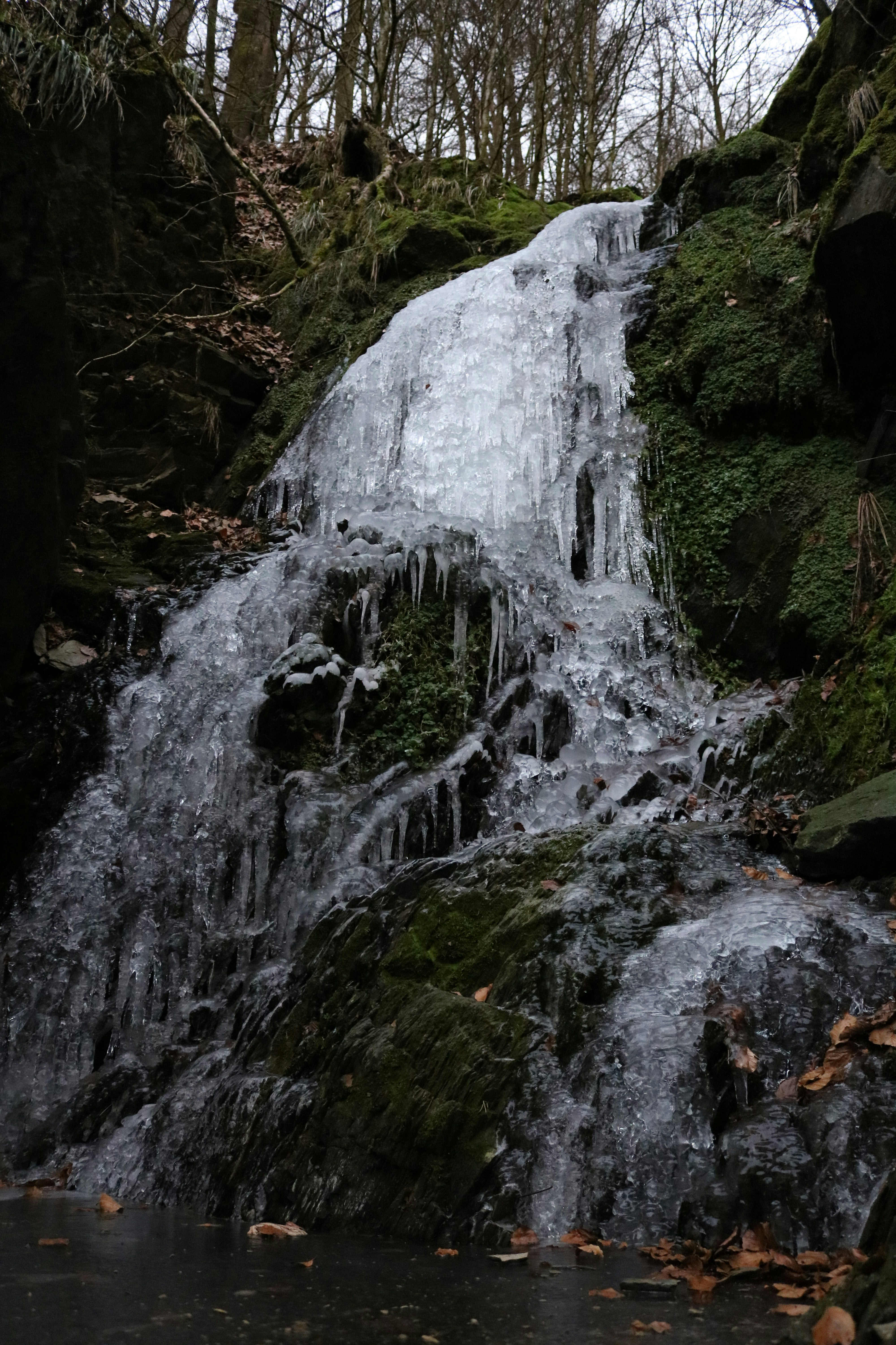 Photo by viktorfriesen