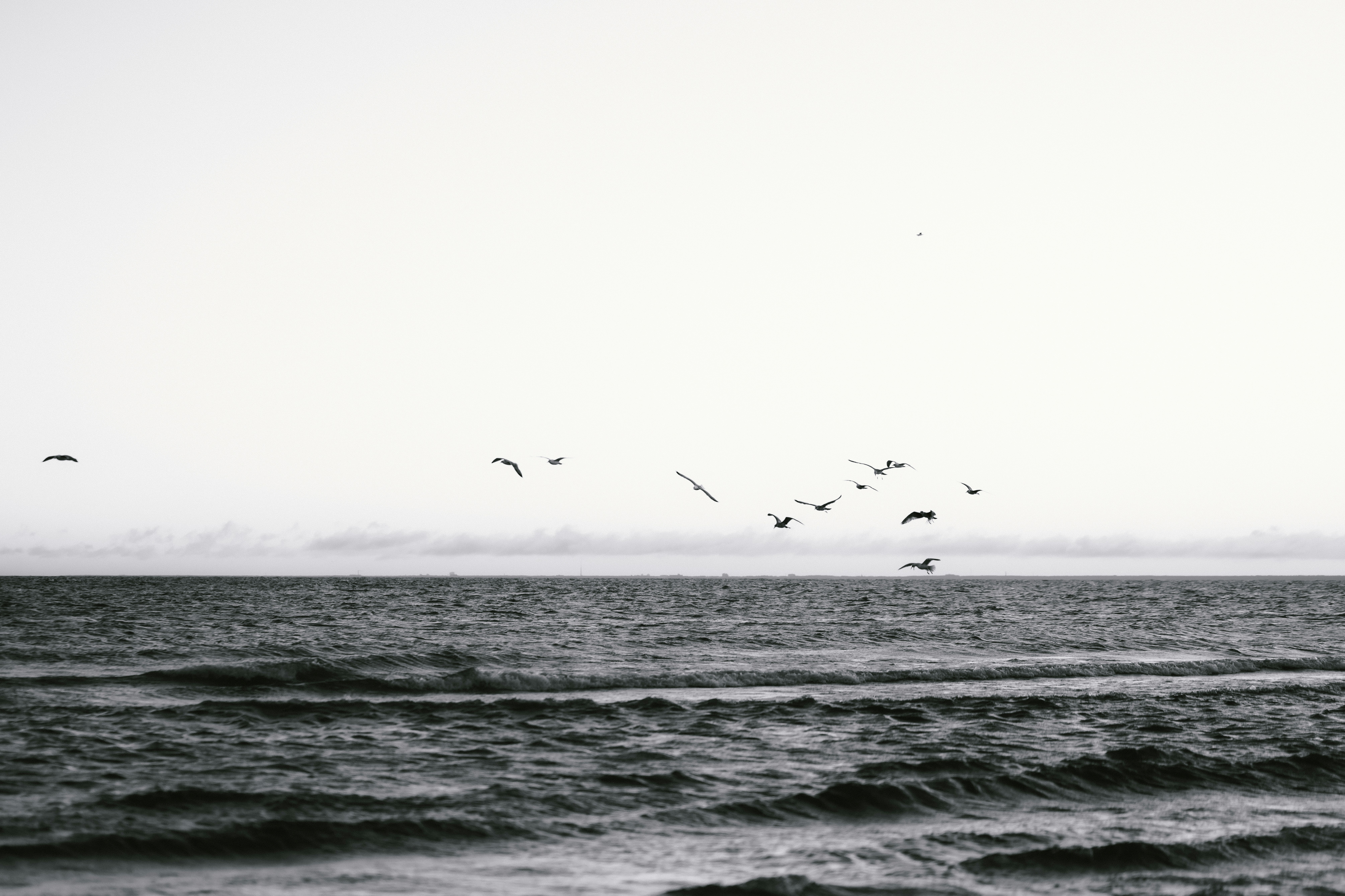 Photo by kristapsungurs