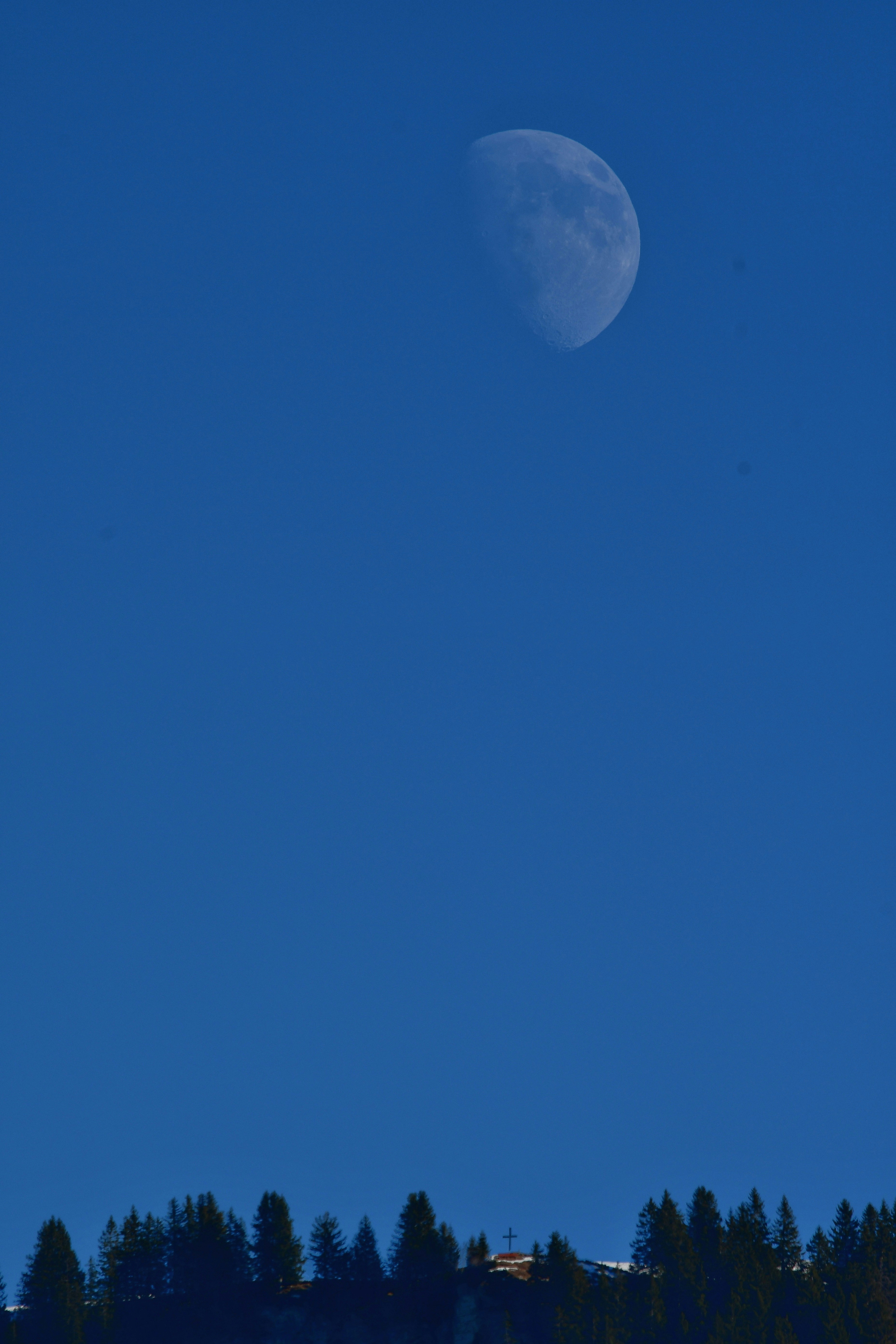 Photo by pedrino5_official