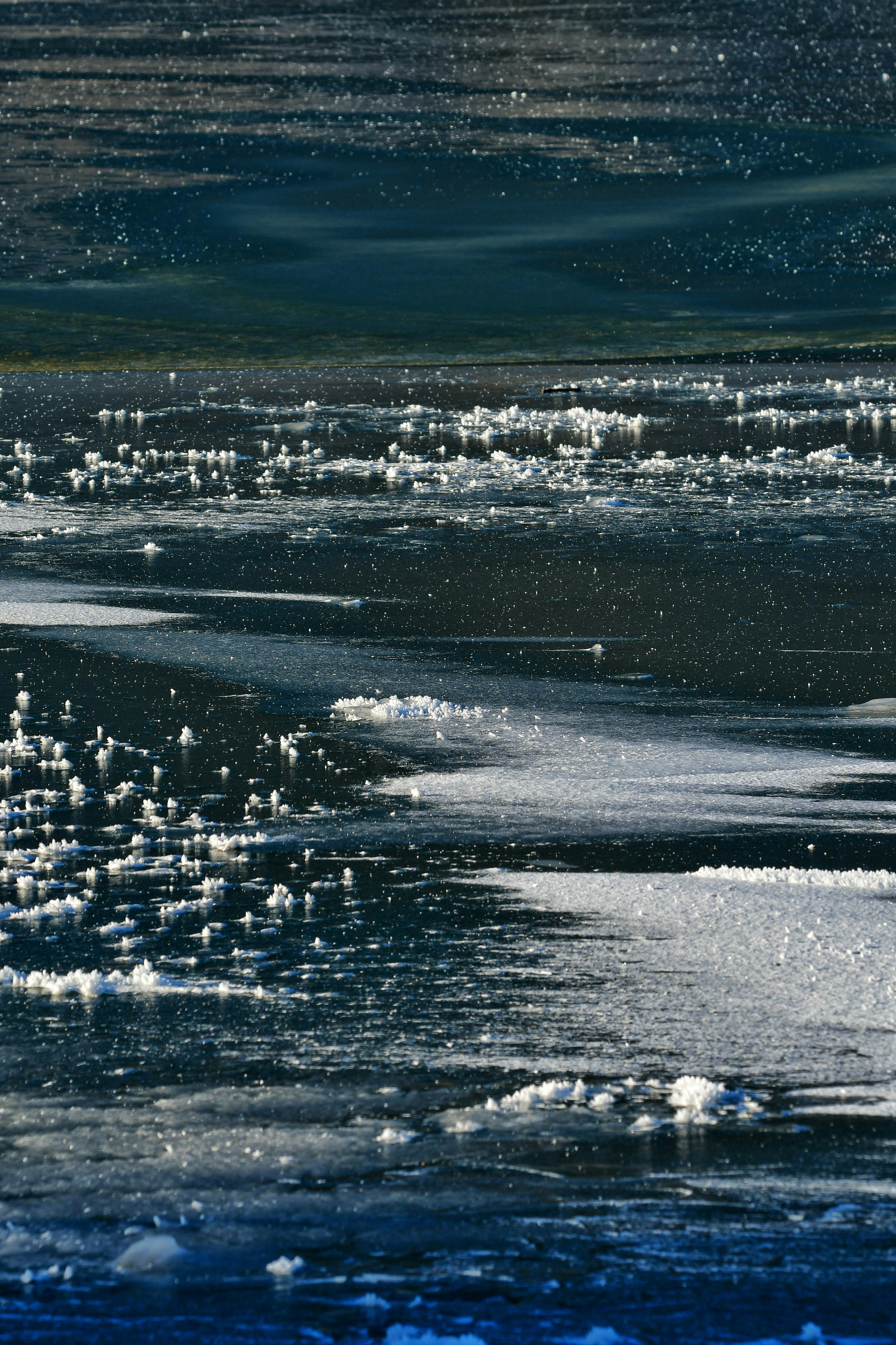 Photo by pedrino5_official